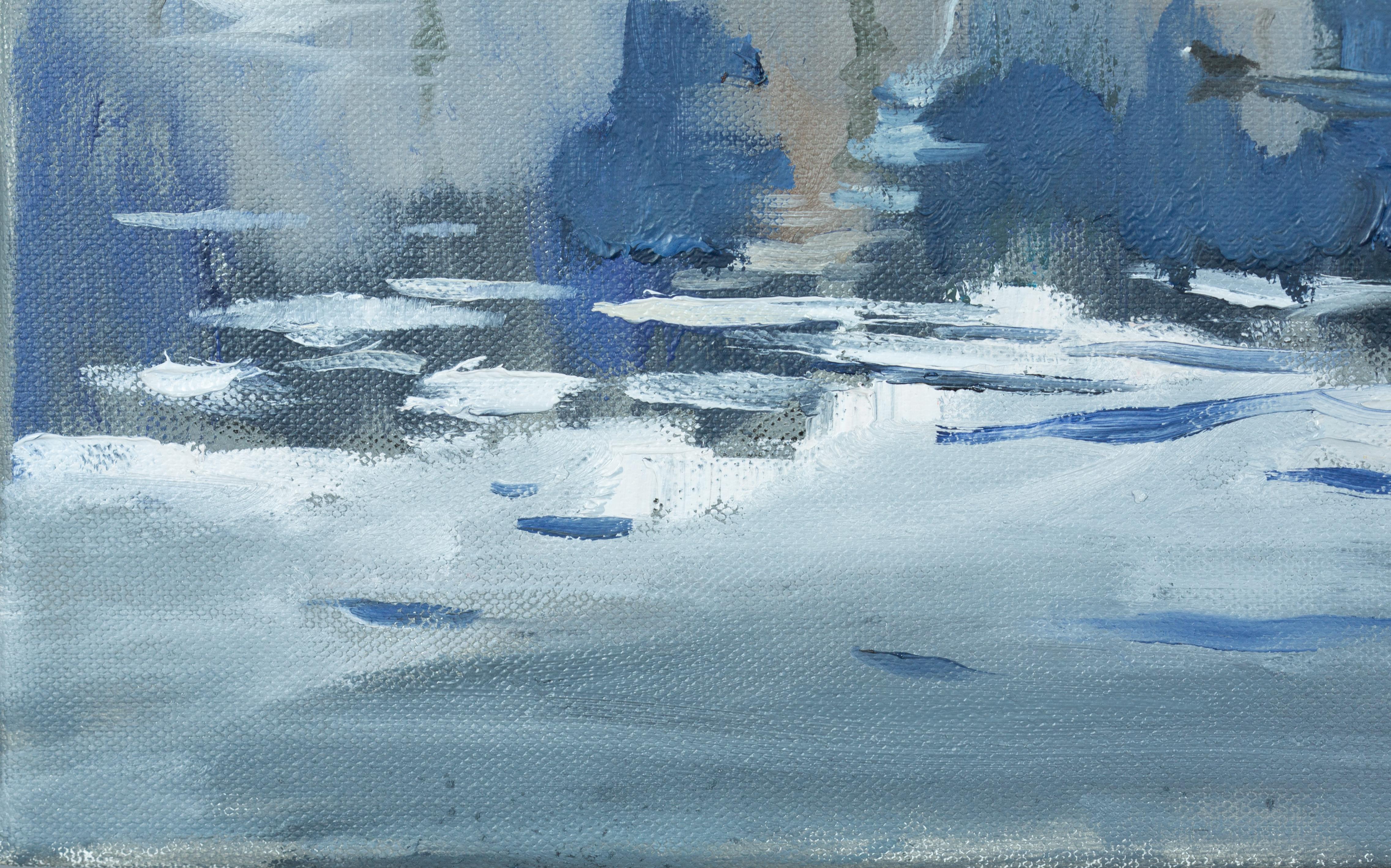 Winter Fairy Tale on Lake Werdenbergersee For Sale 1