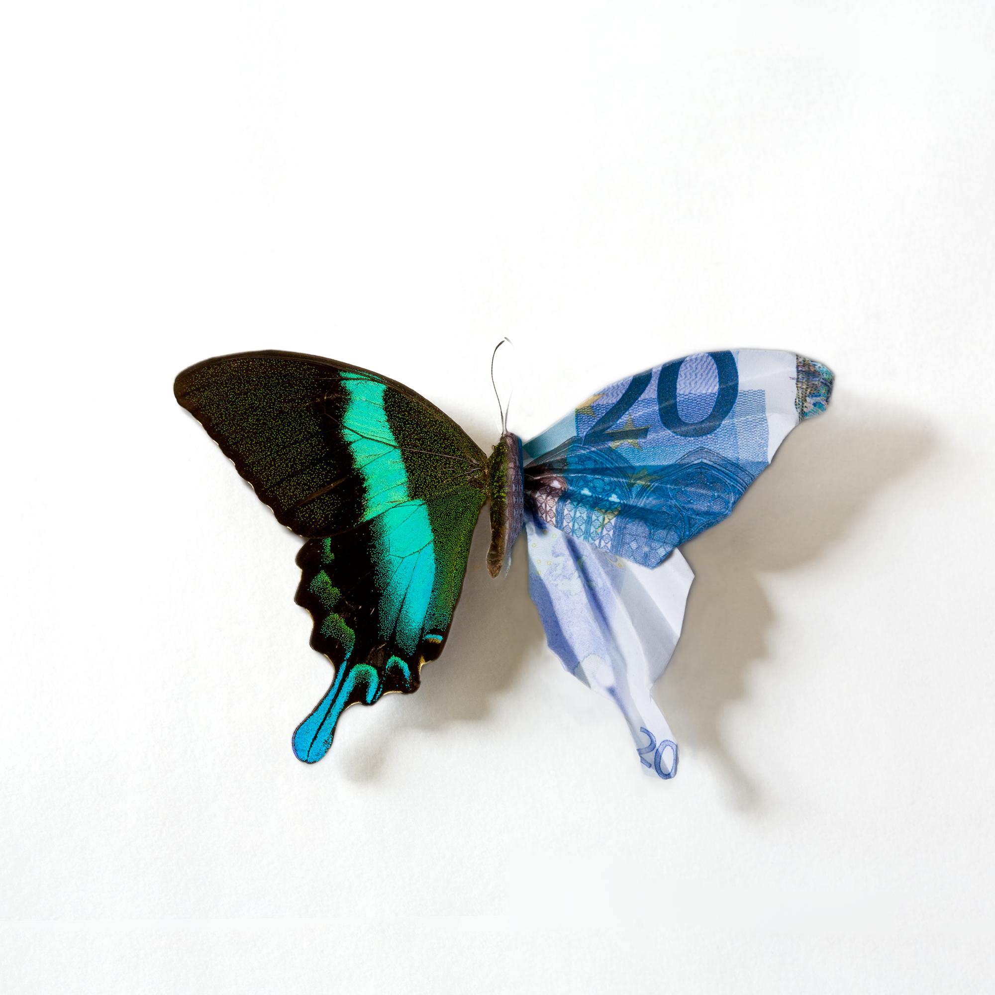 Anna Tas Figurative Photograph - "A Thing Of Beauty #4 (Papilio)" photography with lenticular lens, euro currency