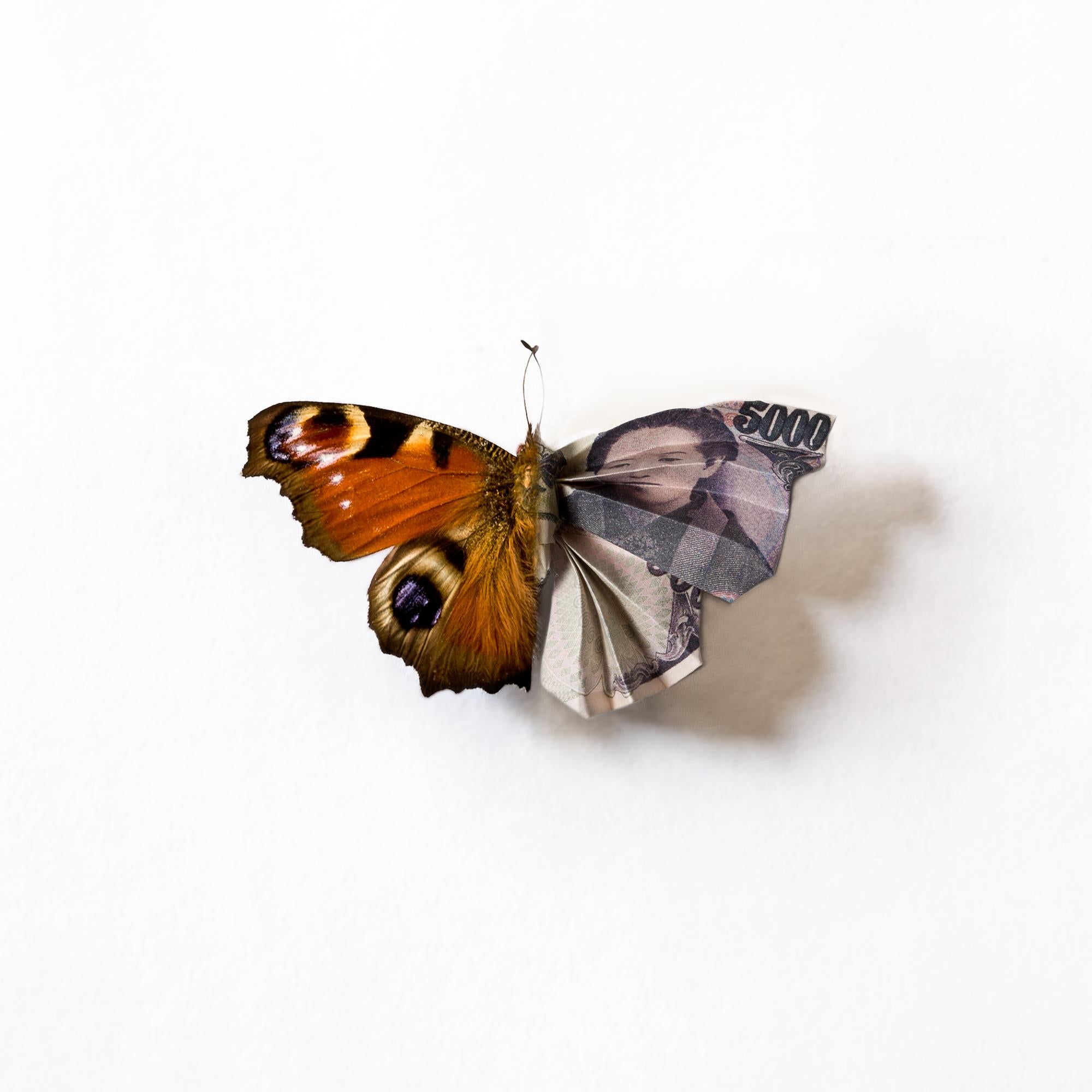 "A Thing of Beauty #5 (Inachus)" Fotografía con lente lenticular, yen japonés