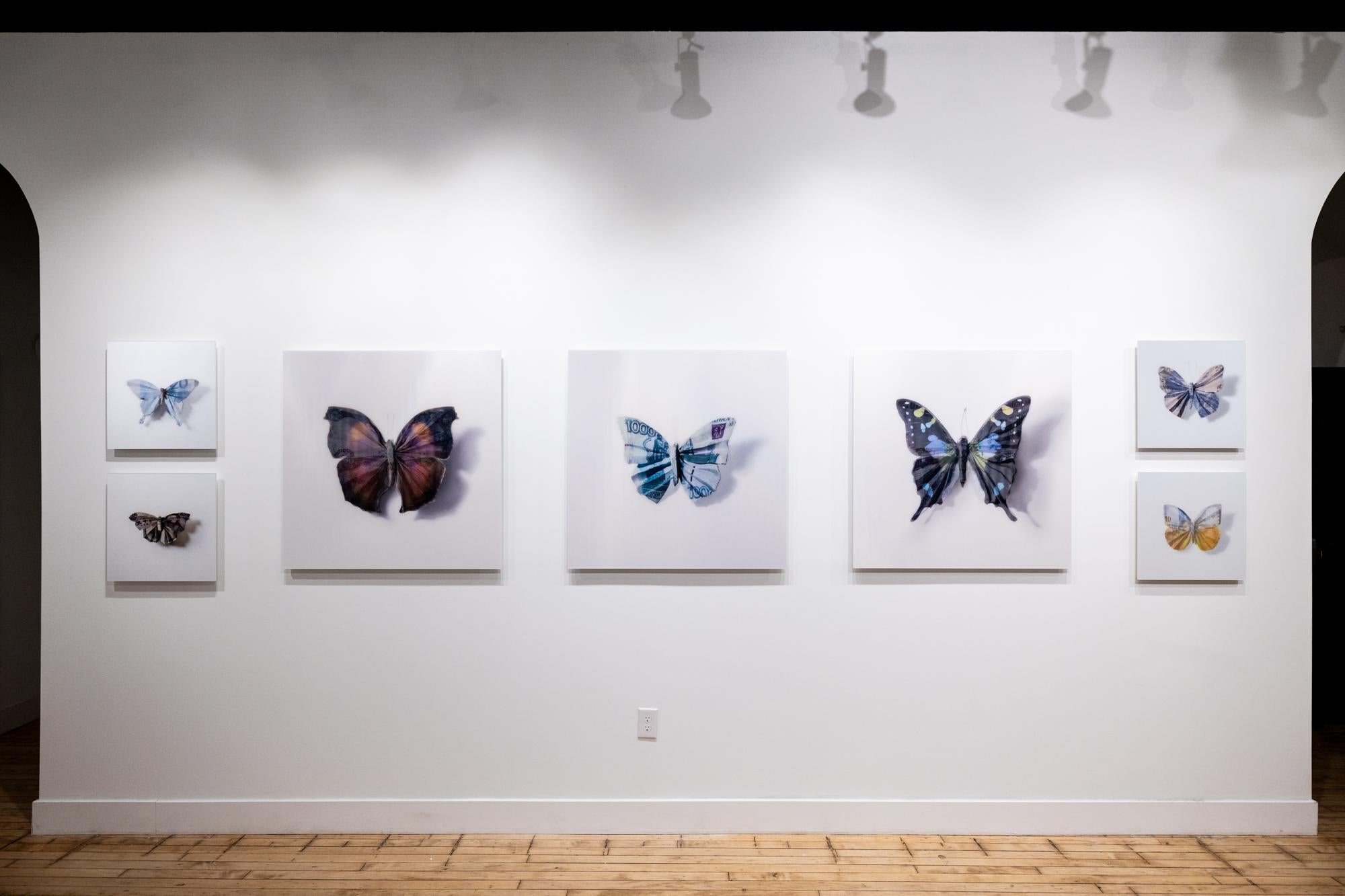 „A Thing of Beauty #7 (Charaxes) 20x20“, Lentikular, Schmetterling, Currency-Motiv – Photograph von Anna Tas