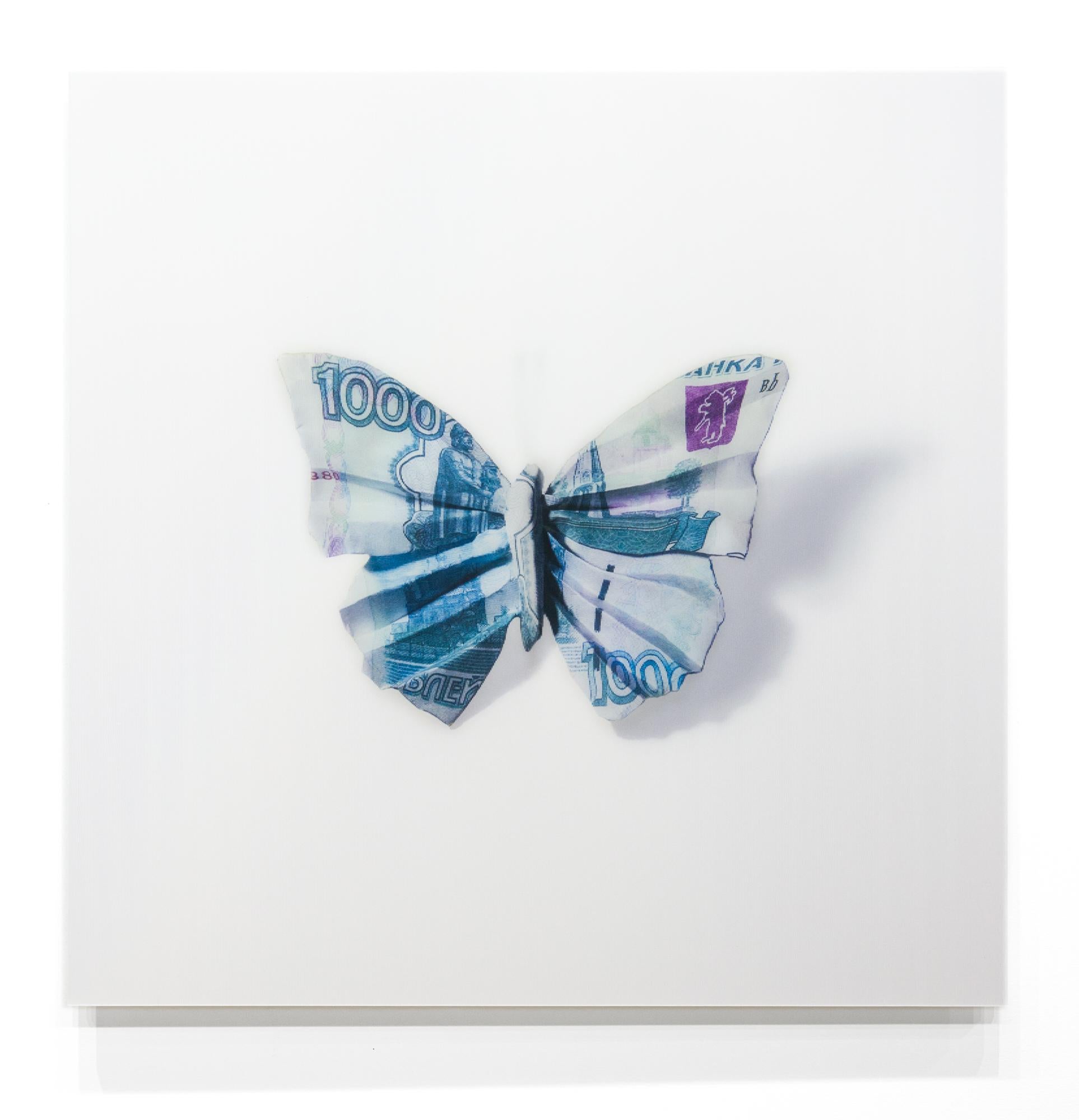 „A Thing of Beauty #7 (Charaxes) 20x20“, Lentikular, Schmetterling, Currency-Motiv (Zeitgenössisch), Photograph, von Anna Tas