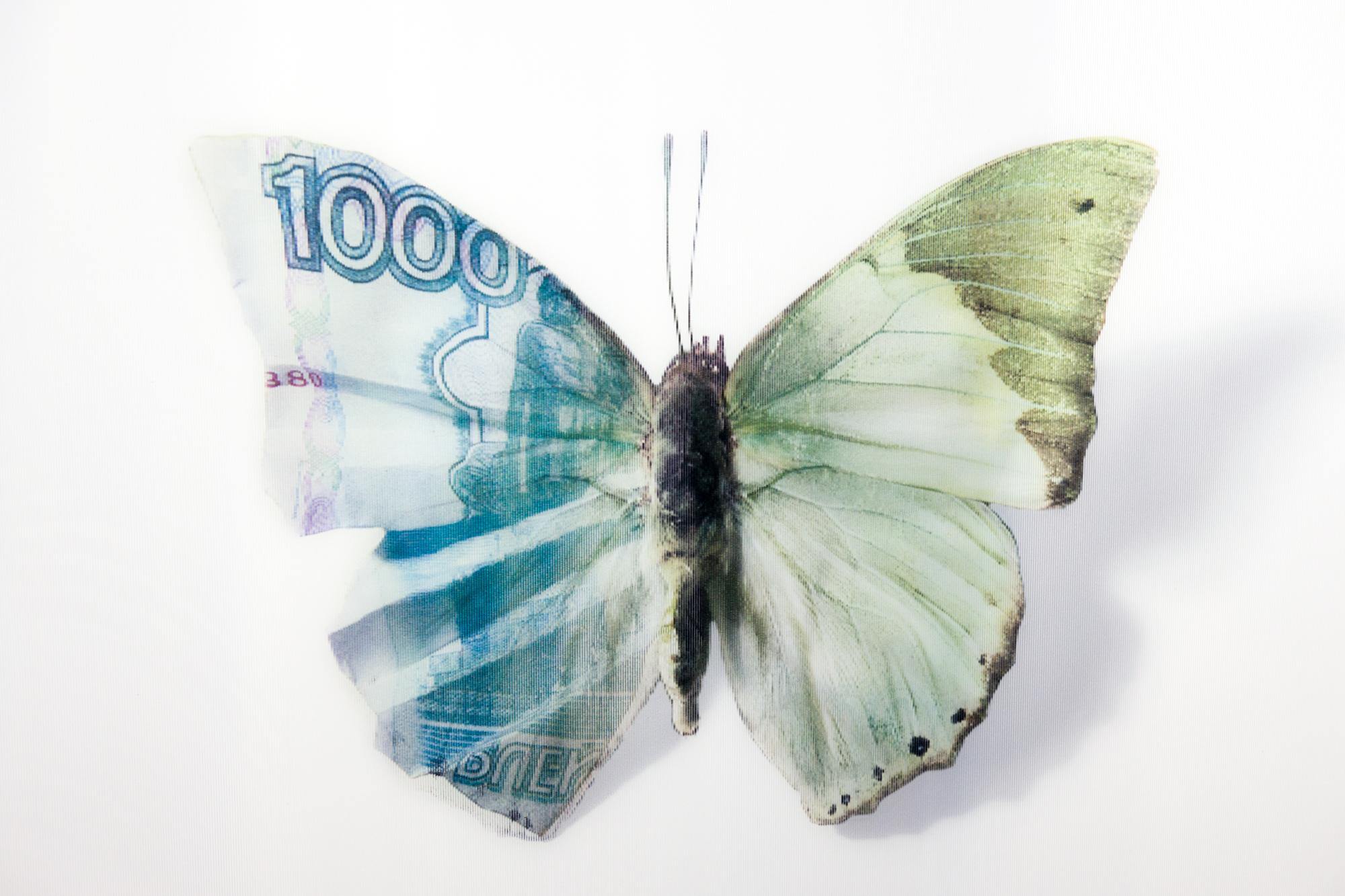 „A Thing of Beauty #7 (Charaxes) 20x20“, Lentikular, Schmetterling, Currency-Motiv im Angebot 2
