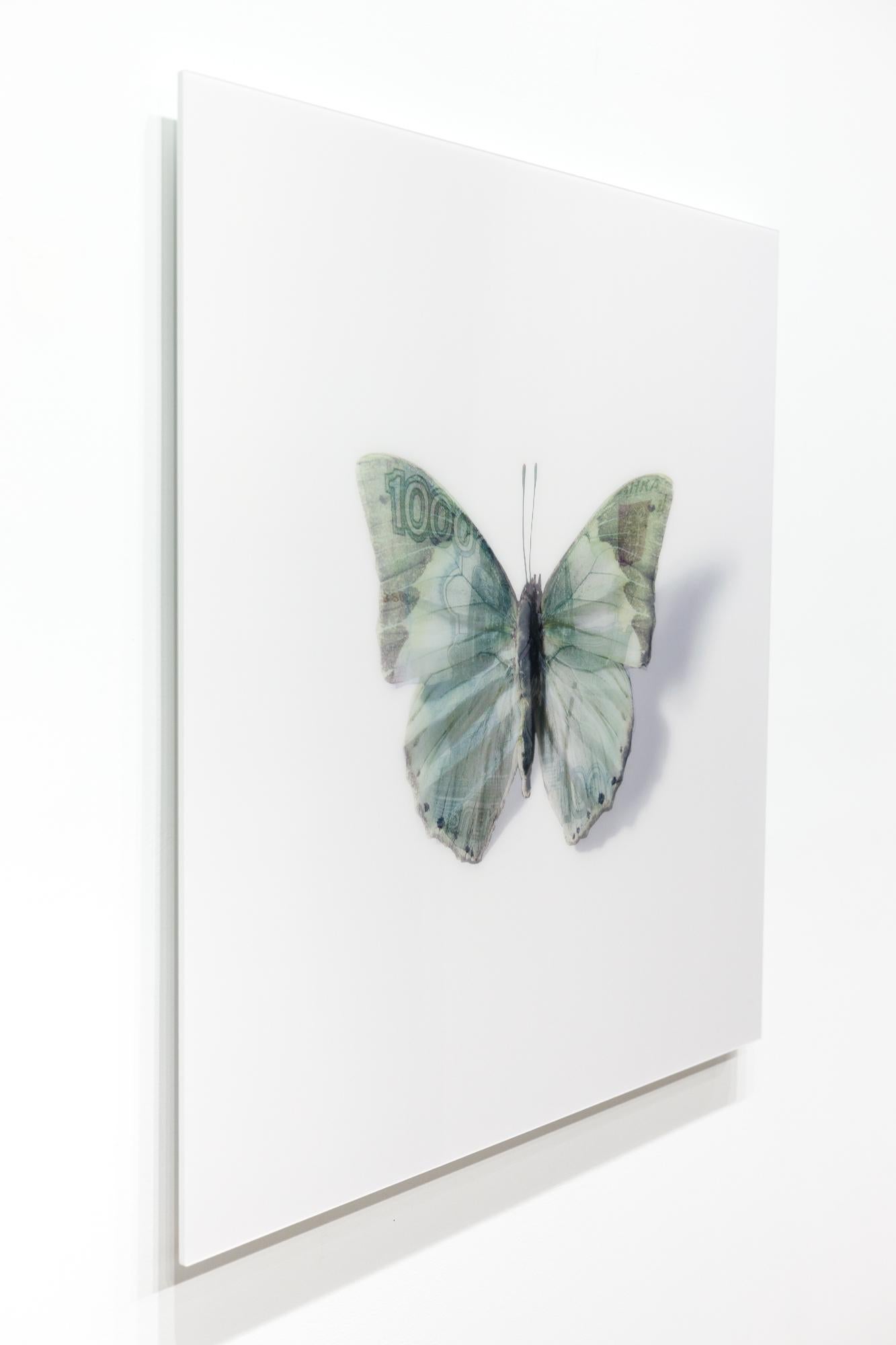 „A Thing of Beauty #7 (Charaxes) 20x20“, Lentikular, Schmetterling, Currency-Motiv im Angebot 3