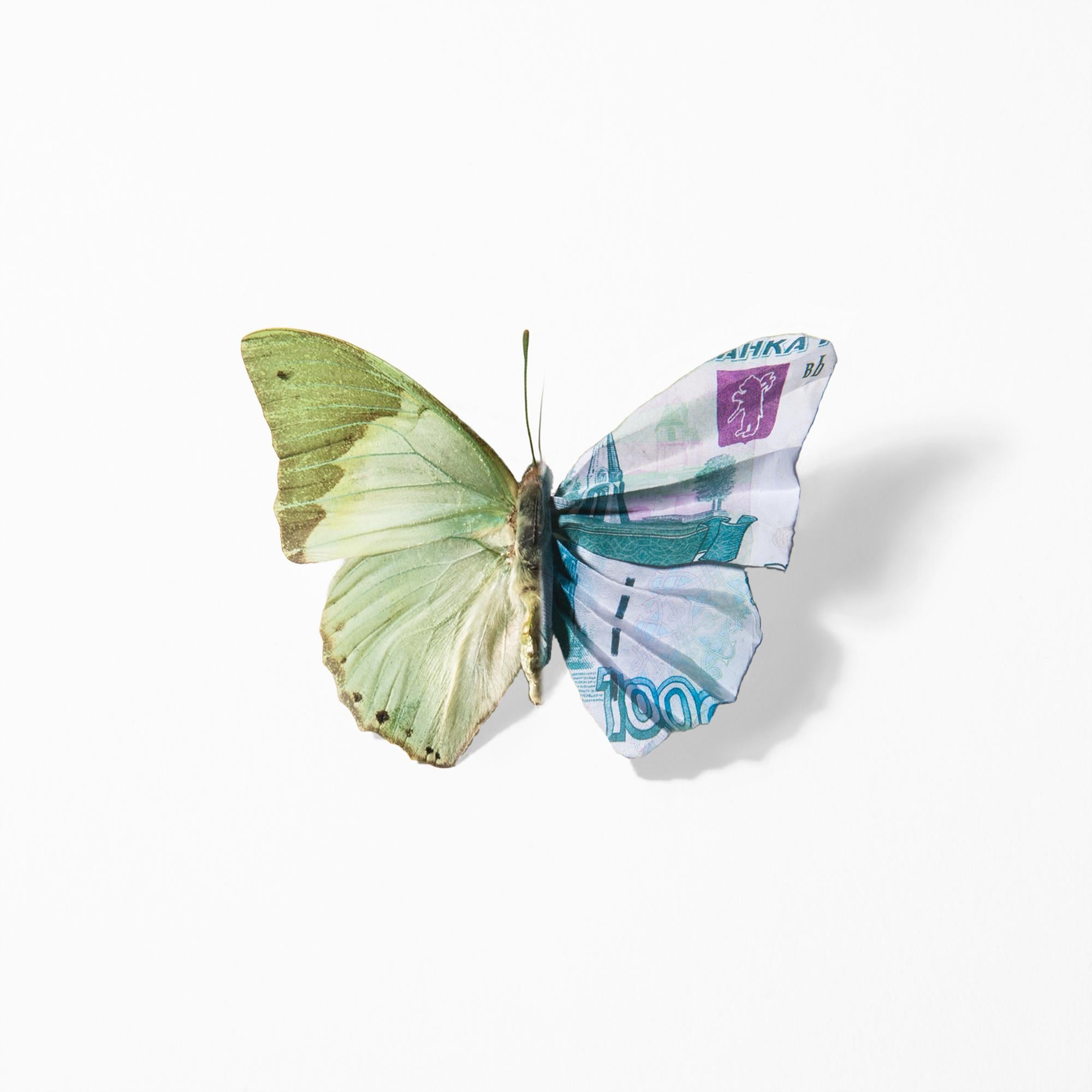 Anna Tas Still-Life Photograph - "A Thing of Beauty #7 (Charaxes) 20x20", Lenticular, Butterfly, Currency Motif