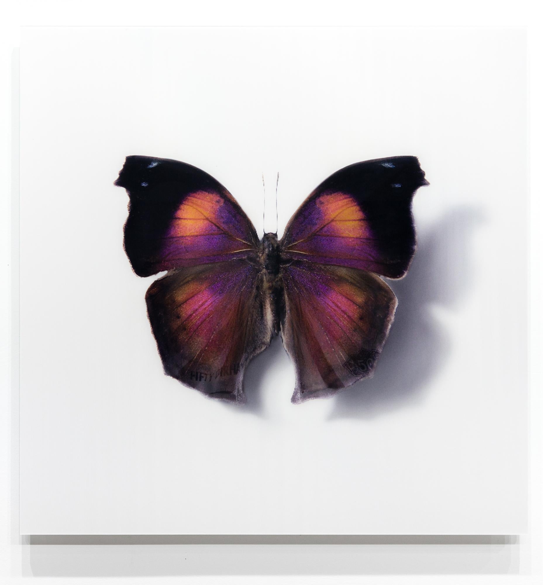 lenticular printing toronto