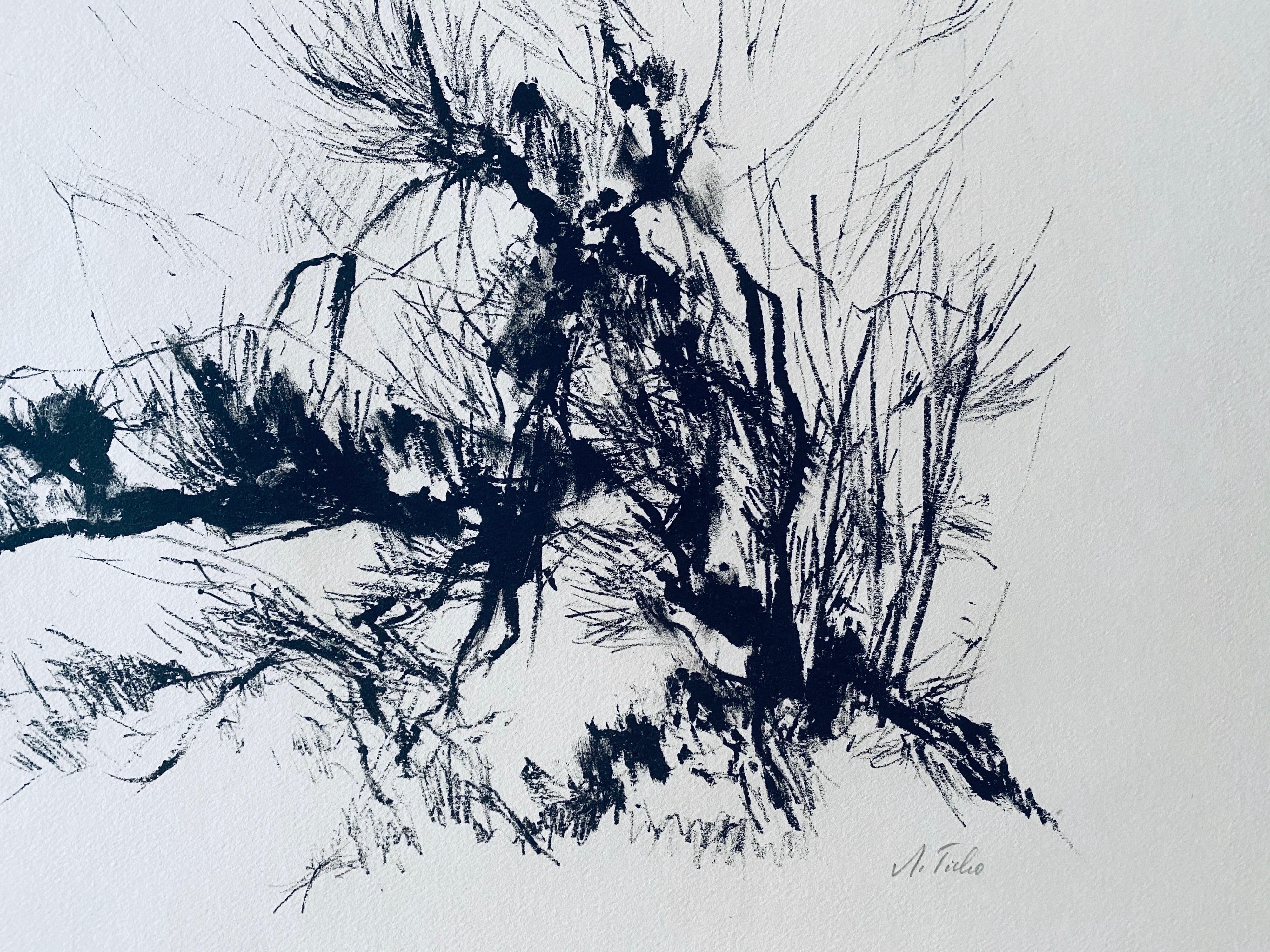 Litografia astratta dell'espressionista tedesco israeliano Bush in Judea - Landscape Print Grigio di Anna Ticho
