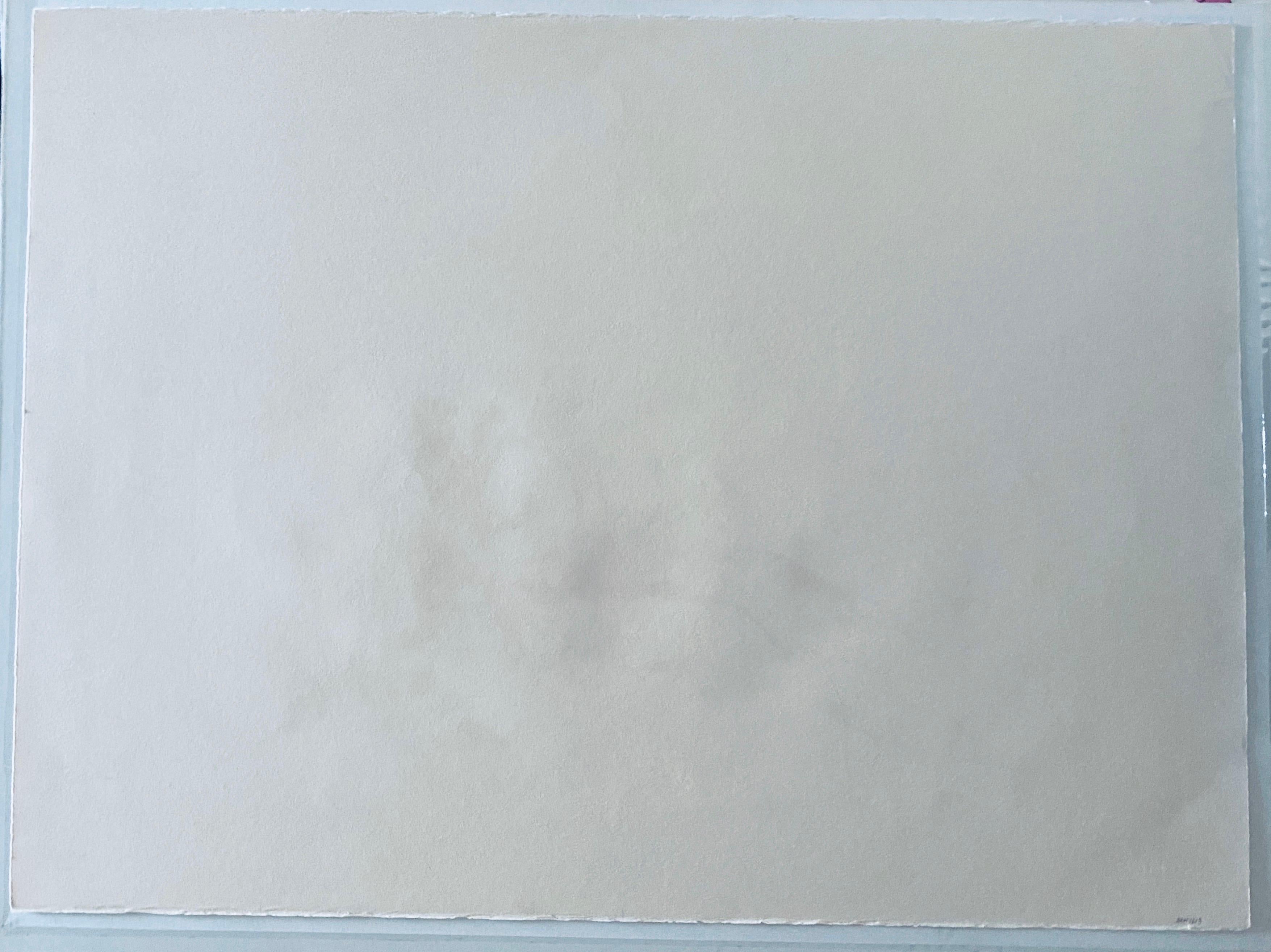 Litografia astratta dell'espressionista tedesco israeliano Bush in Judea in vendita 1