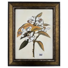 Anna Weatherley Designs - Flower Painting on Porcelain