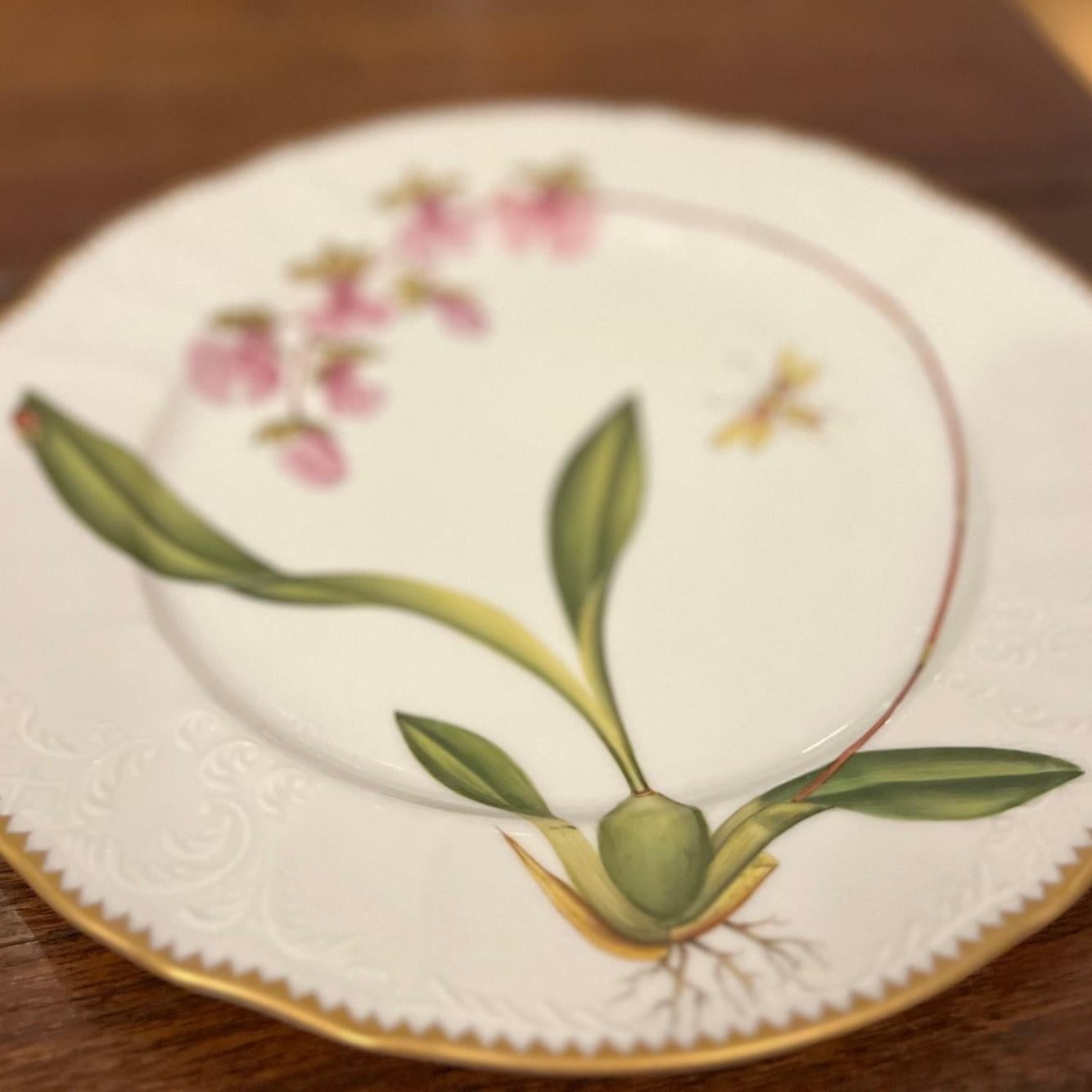 Anna Weatherley, Assiettes à dîner en forme d'orchidée peintes à la main - Lot de cinq, Hongrie, 2003 en vente 5