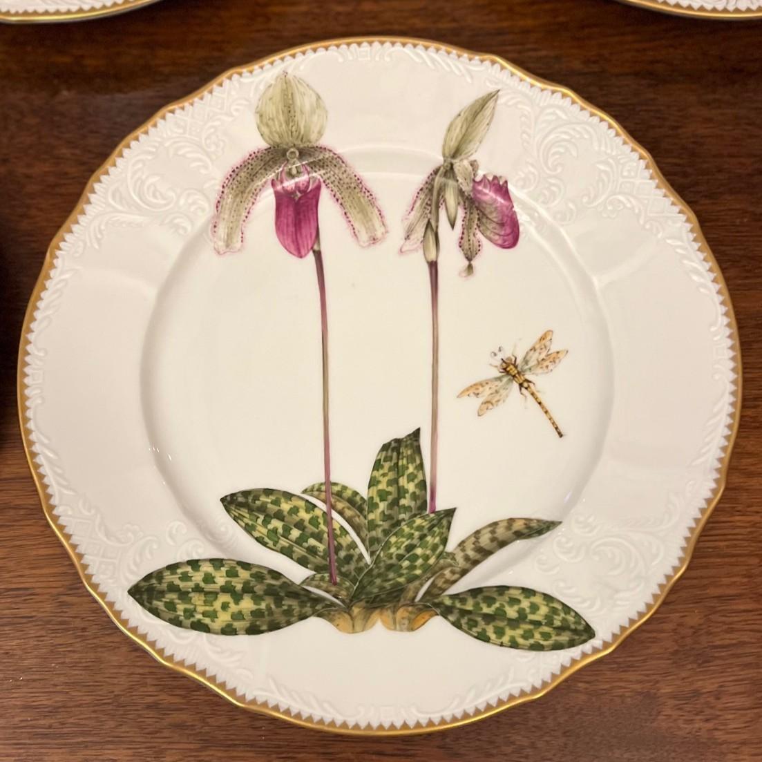 Ensemble raffiné de cinq assiettes à dîner en porcelaine peinte à la main par Anna Weatherley Designs, chacune représentant une étude d'orchidée différente avec les insectes qui l'accompagnent (papillons/dragonfly). Le fond blanc vif est encadré par