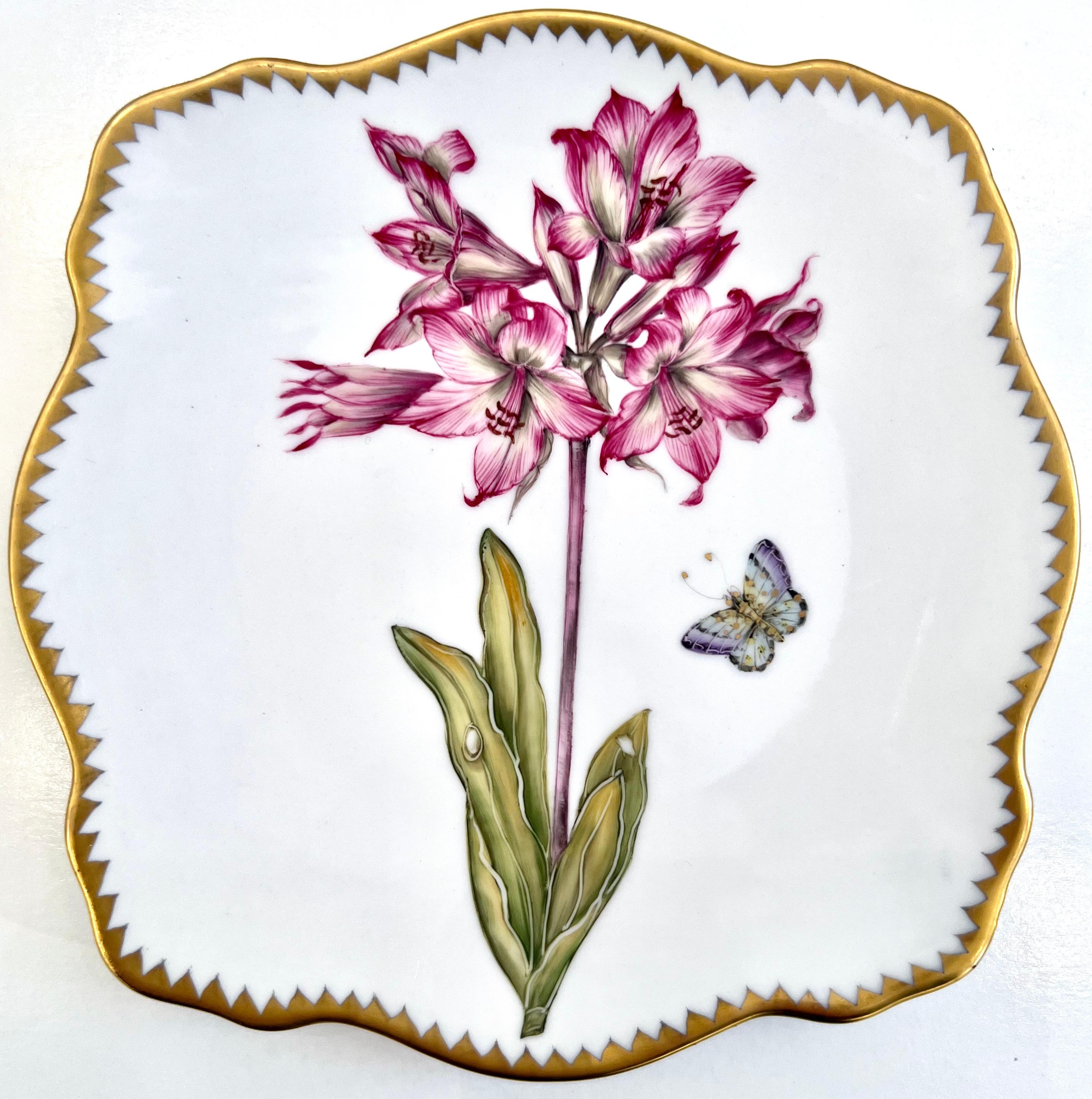 Hand-Painted Anna Weatherley - Hand Painted Porcelain Plates