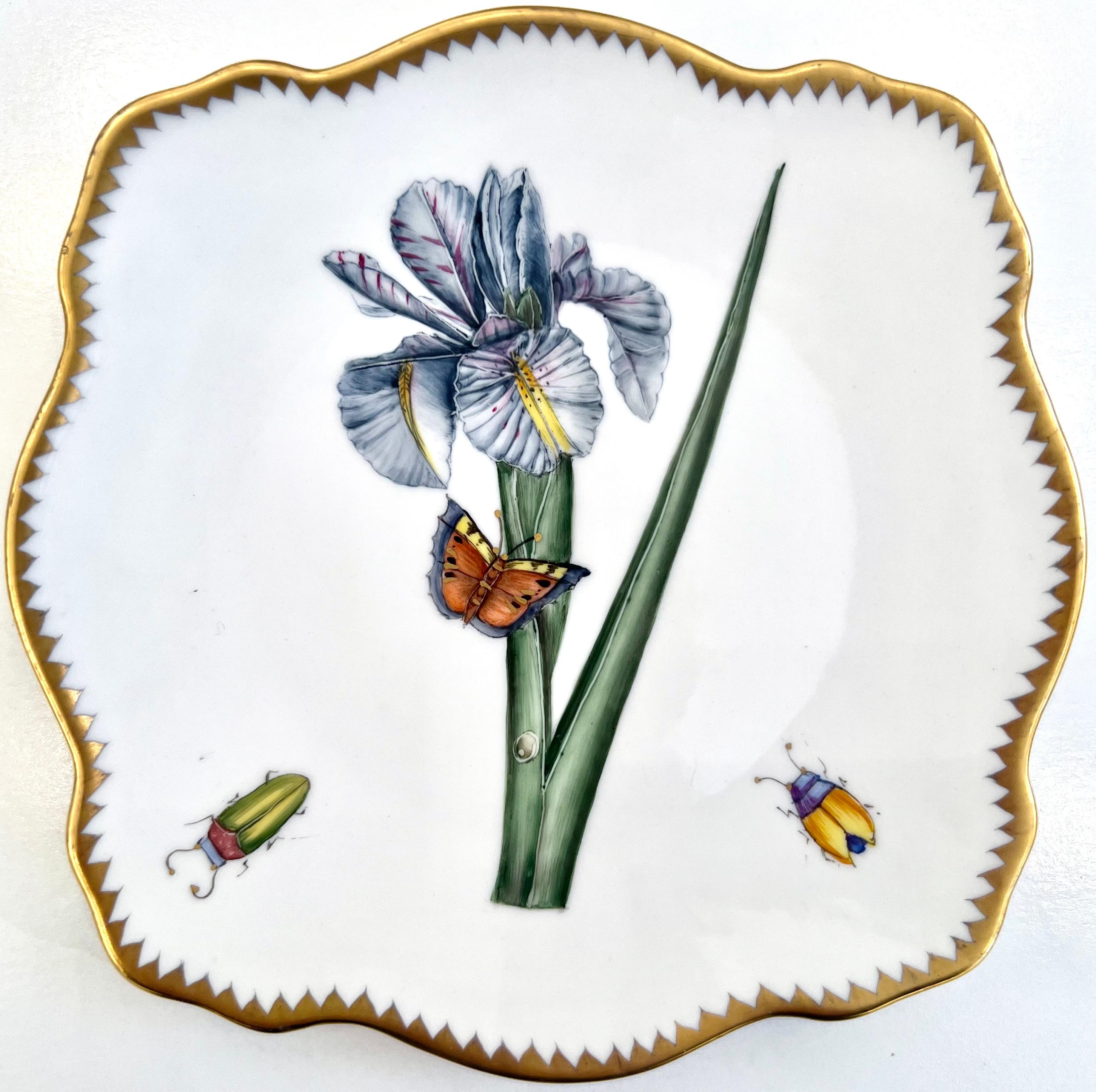 Contemporary Anna Weatherley - Hand Painted Porcelain Plates