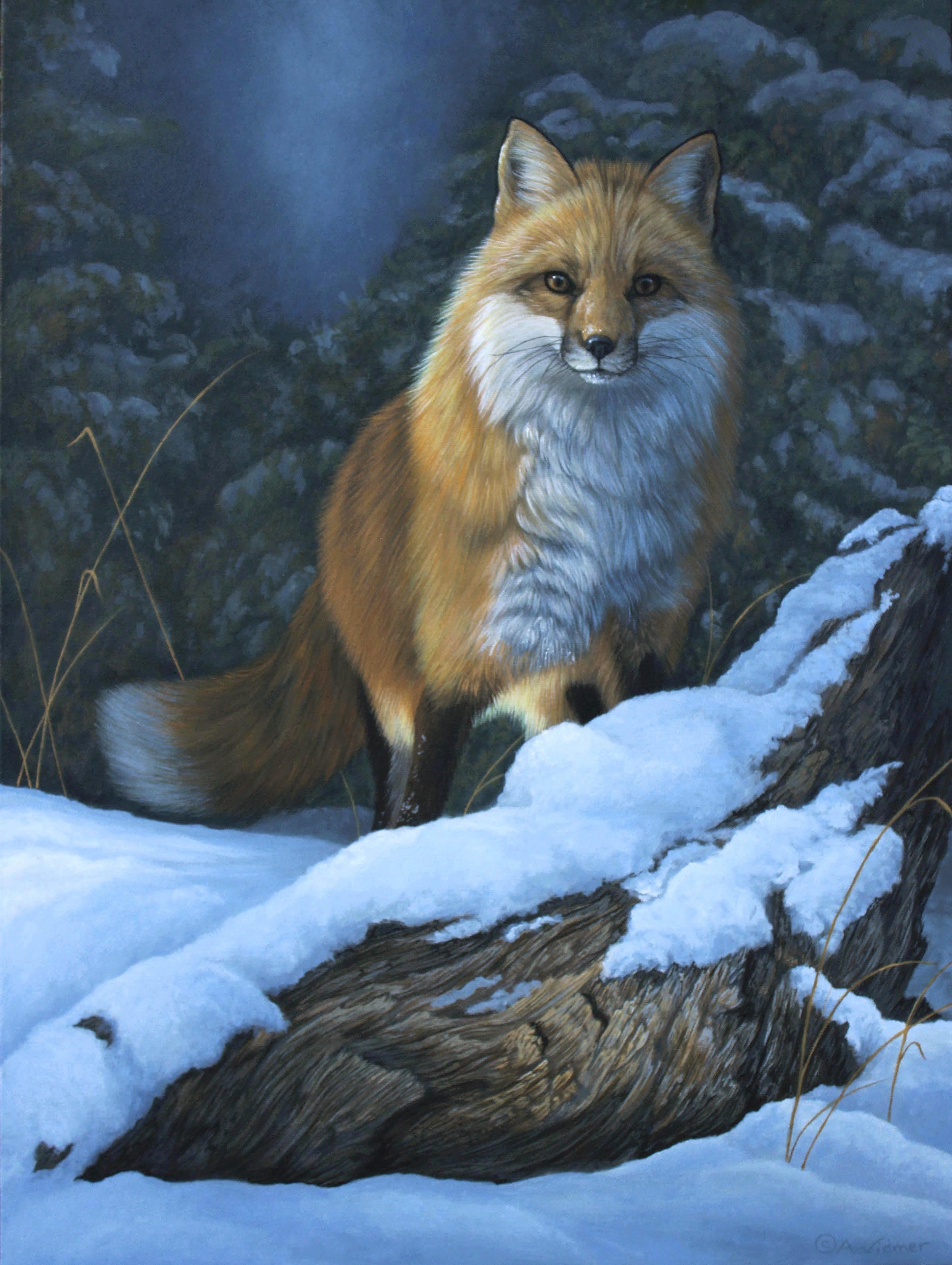 Anna Widmer Animal Painting - Twilight Visitor