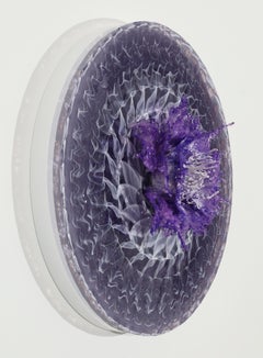 Violet Lotus Light Disc