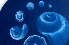 Un cianotipo conceptualmente alternativo, "El vacío es la forma 2"