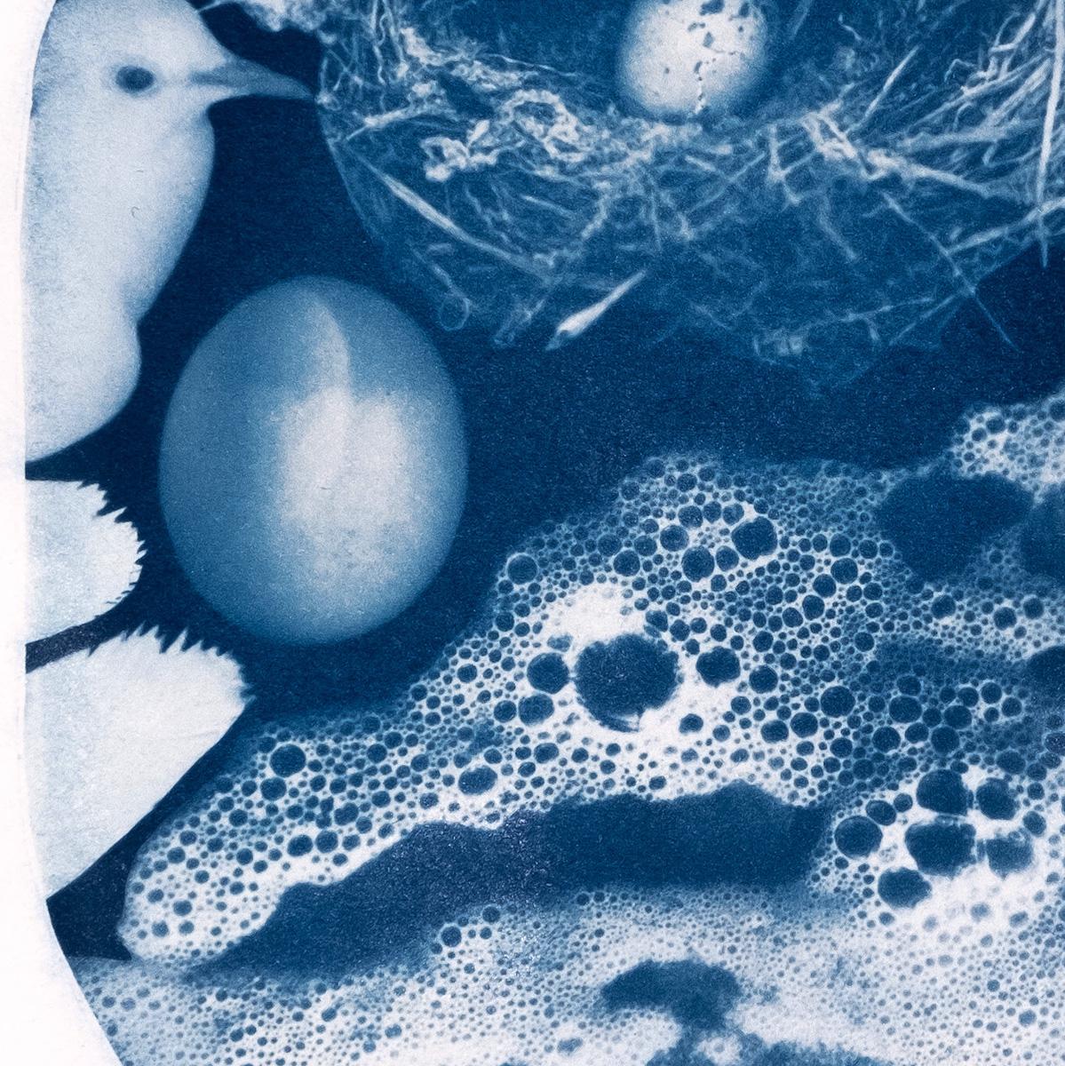 A Conceptually Alternative Cyanotype, 