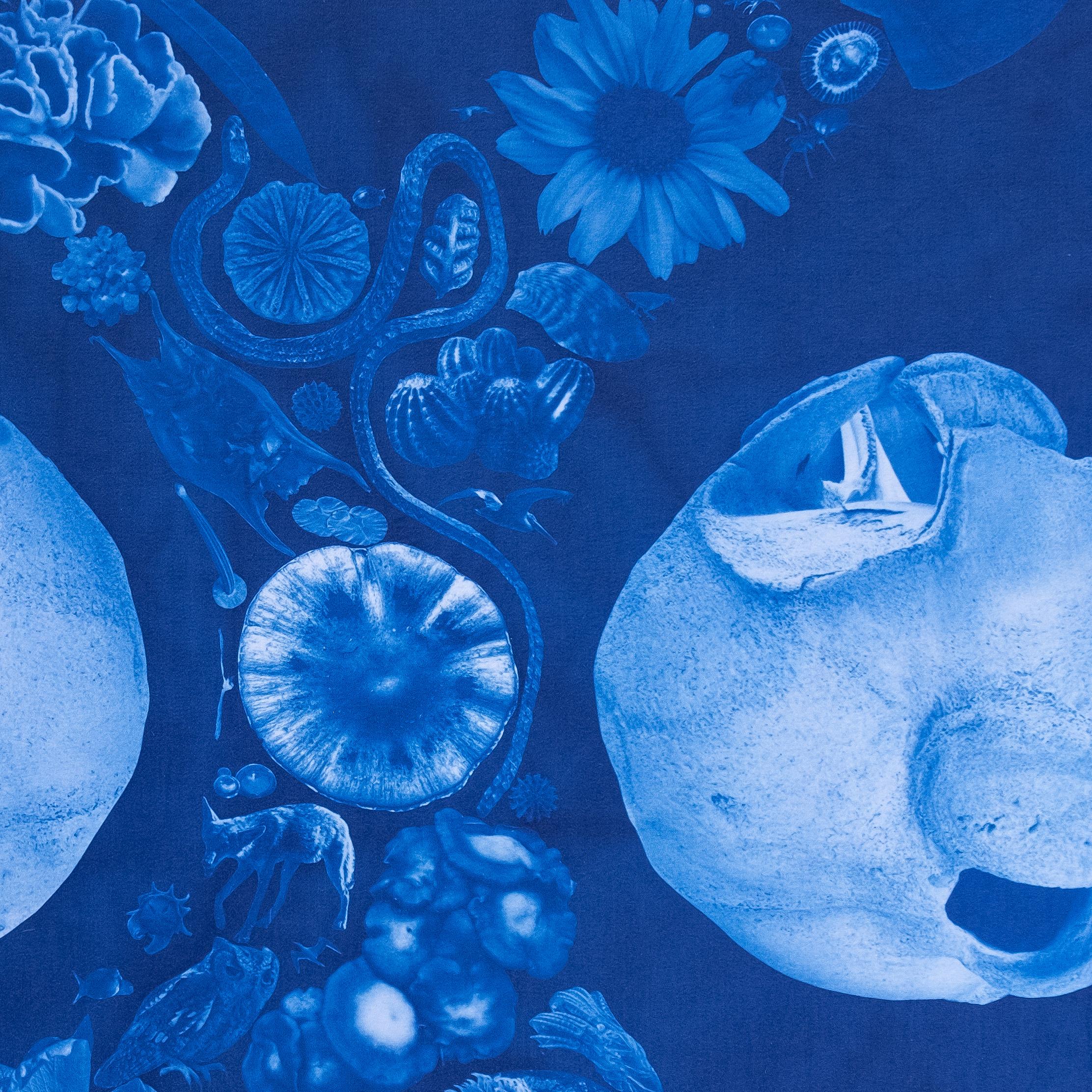 Annalise Neil Abstract Photograph - A Naturalist Cyanotype on Cotton Sateen, "Polyphony"