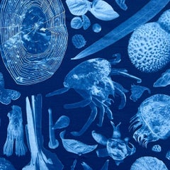 Acuarela surrealista y cianotipo sobre satén de algodón, "Gradiente relacional"