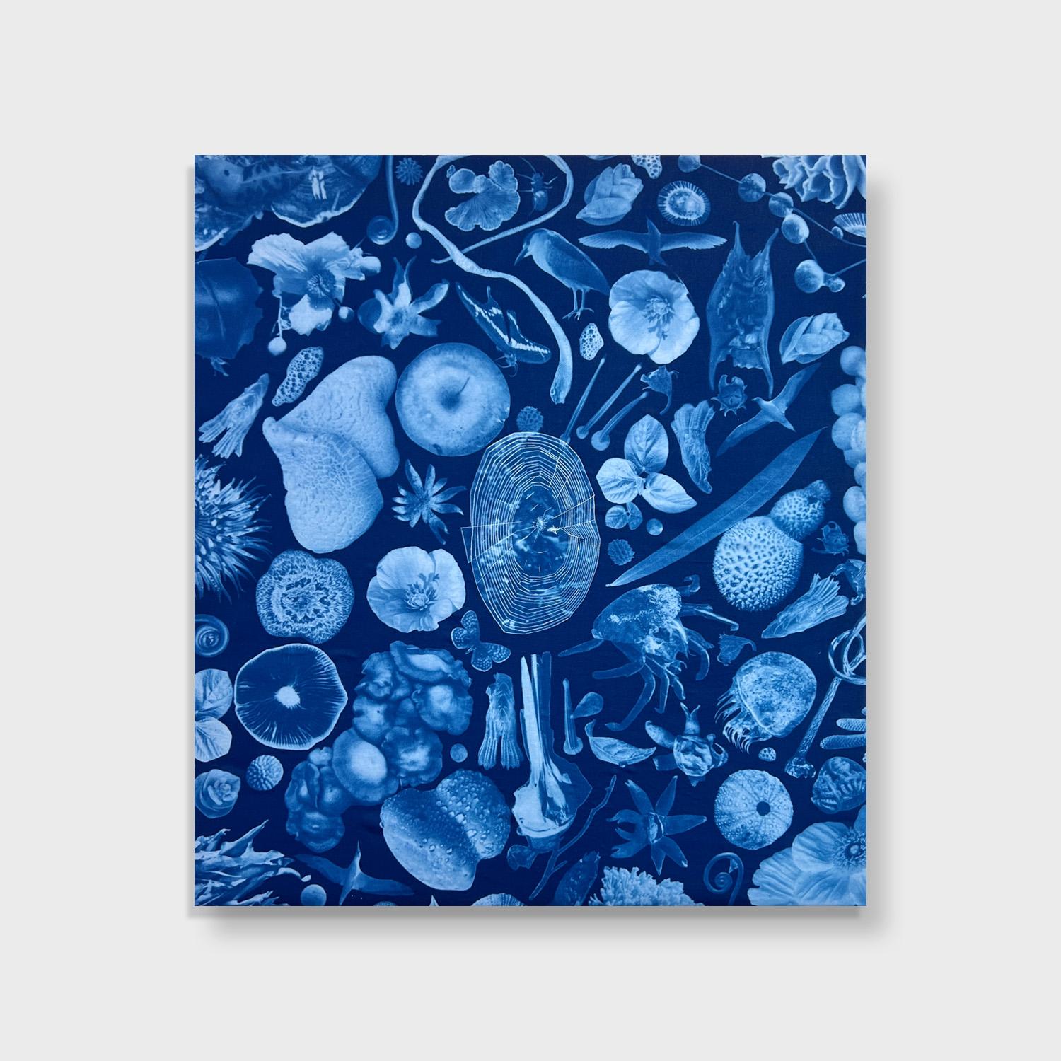 Annalise Neil Abstract Photograph - A Surreal Watercolor and Cyanotype on Cotton Sateen, "Relational Gradient"