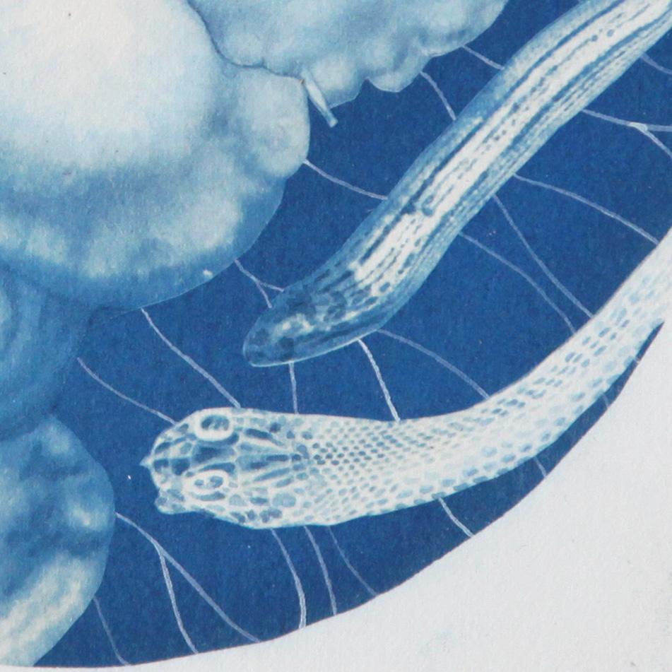 A Surreal Watercolor and Cyanotype on Fabriano Artistico Paper, 