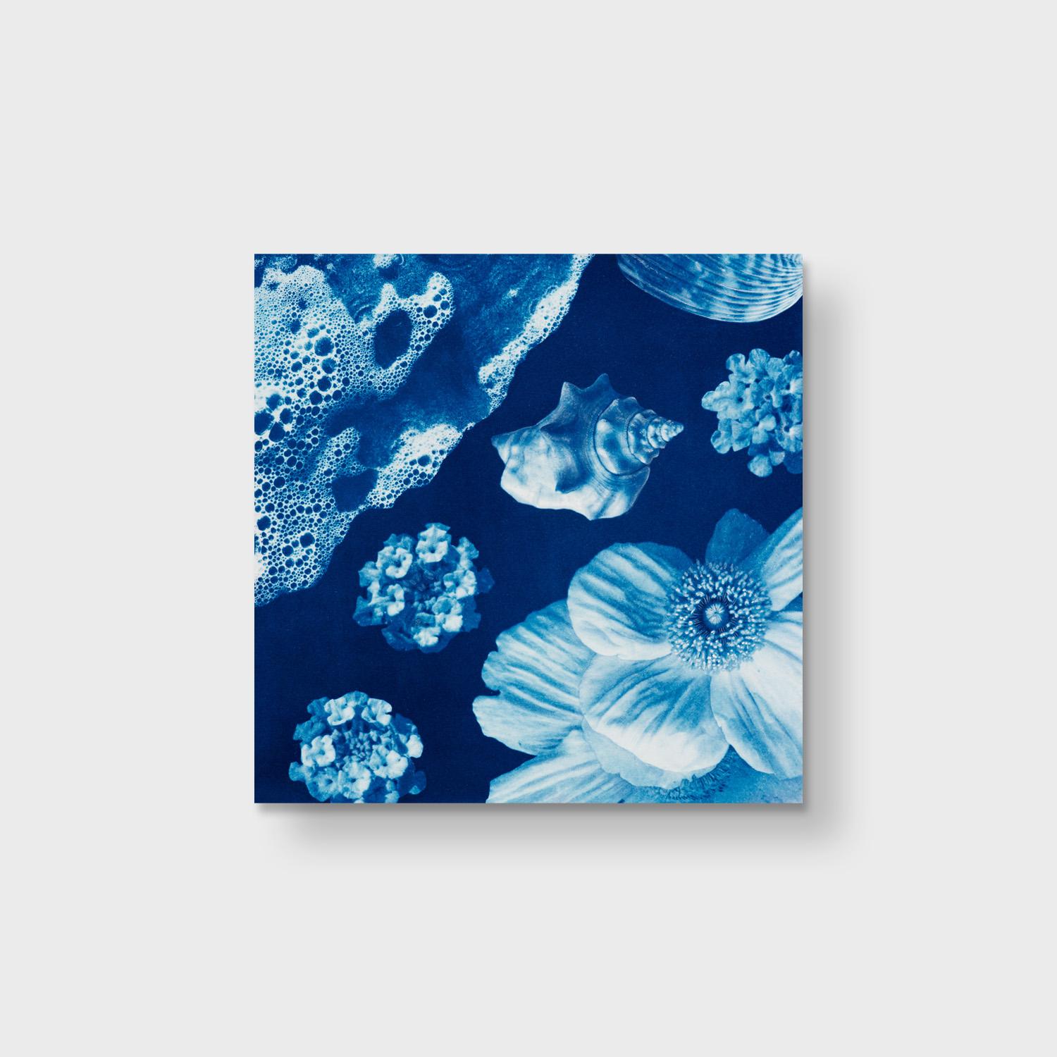 Surreales Aquarell und Cyanotyp, „Saltwater Gradient, var 12“, Surreales Aquarell – Photograph von Annalise Neil