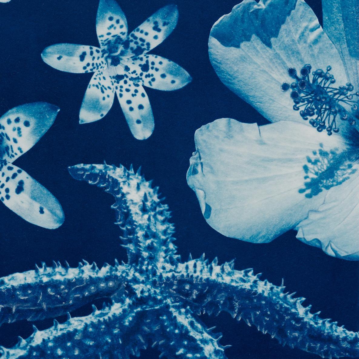 Surreales Aquarell und Cyanotyp, „Saltwater Gradient, var. 3“, „Salzwasser-Gradierung“ (Surrealismus), Photograph, von Annalise Neil