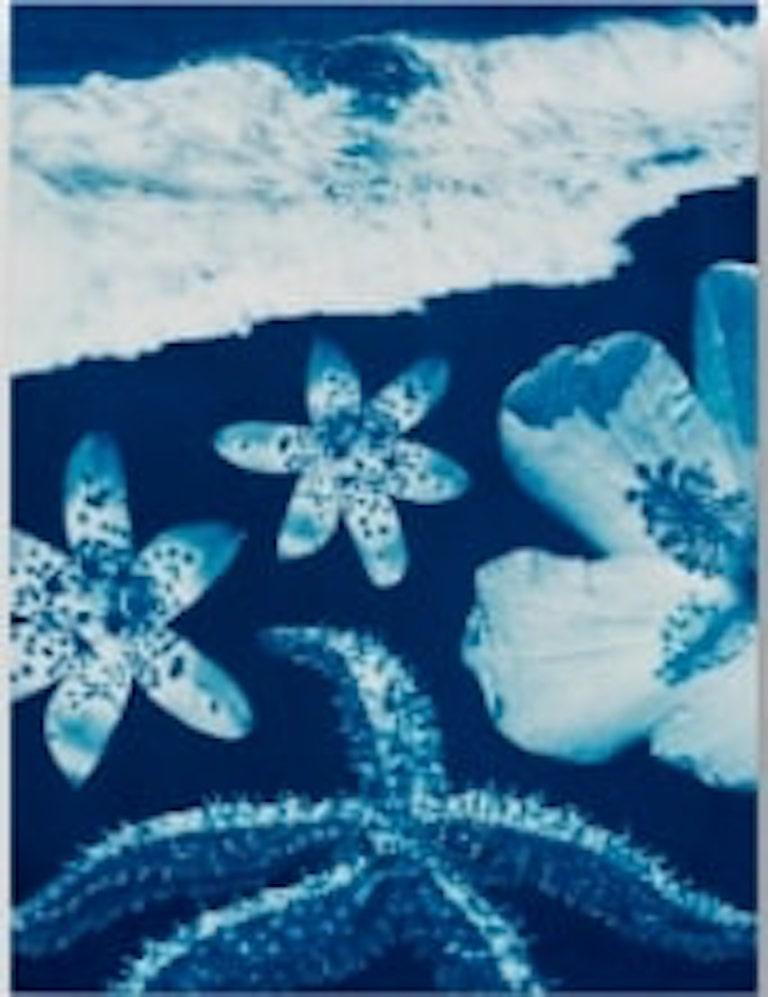 Abstract Photograph Annalise Neil - Aquarelle et cyanotype surréaliste, « Saltwater Gradient, var. 3 »