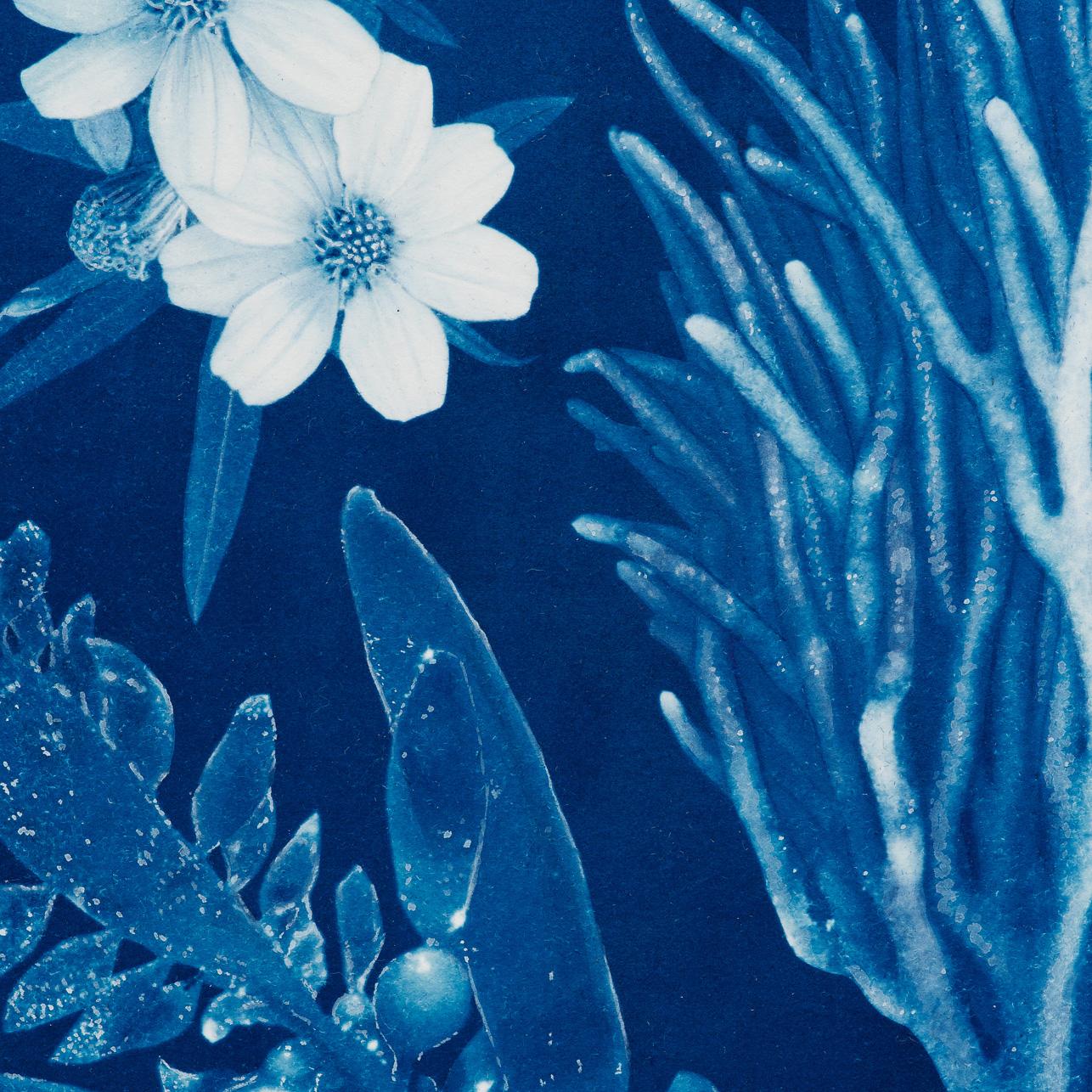 A Surreal Watercolor and Cyanotype, 