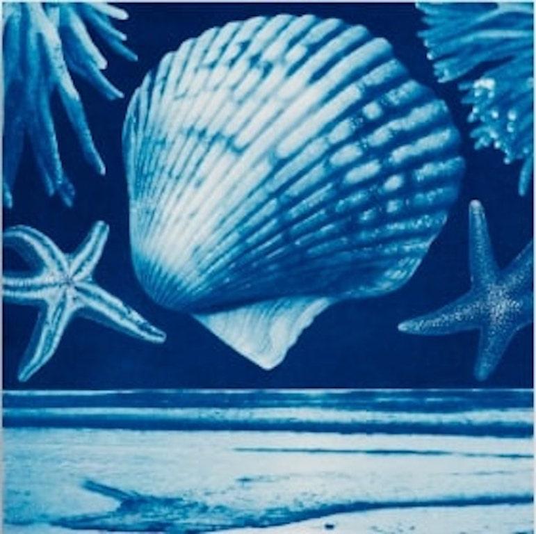 Annalise Neil Abstract Photograph - A Surreal Watercolor and Cyanotype, "Saltwater Gradient, var 7"