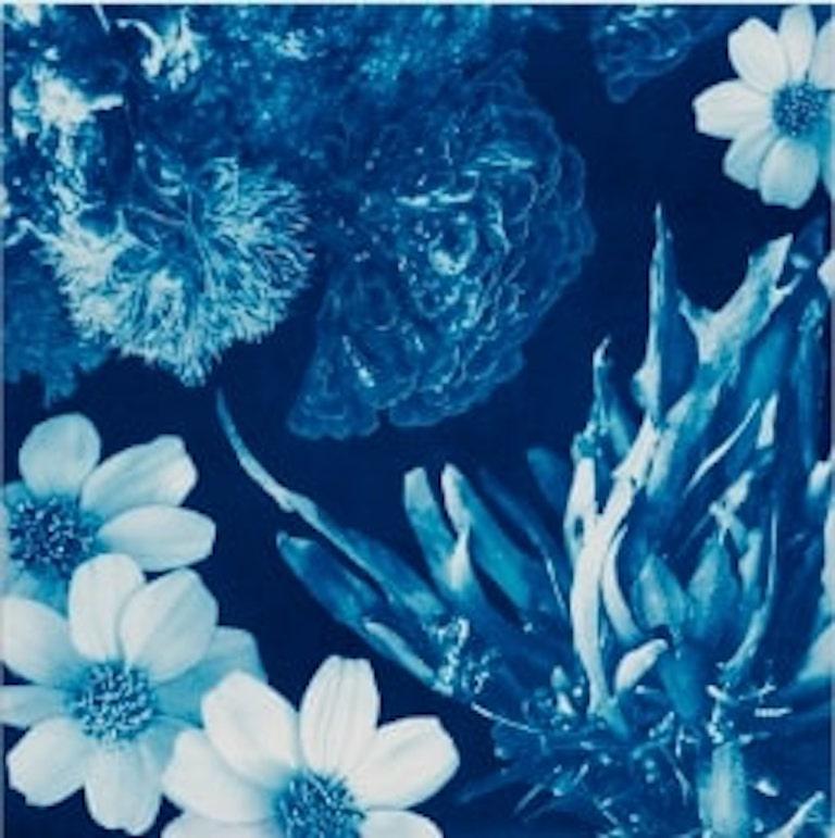 Annalise Neil Abstract Photograph - A Surreal Watercolor and Cyanotype, "Saltwater Gradient, var 9"
