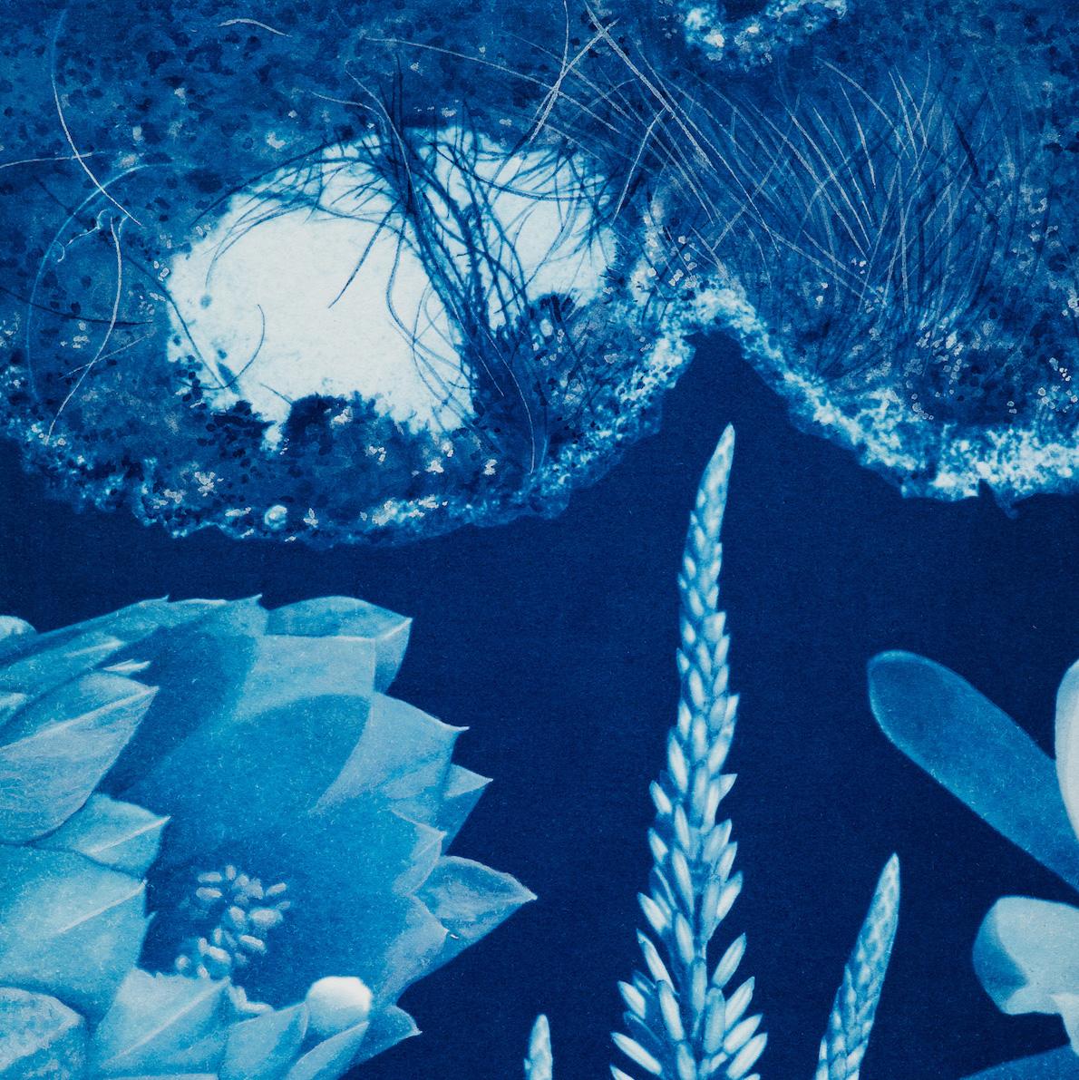 Aquarelle et cyanotype surréaliste, « Saltwater Gradient, var.4 » - Surréalisme Photograph par Annalise Neil