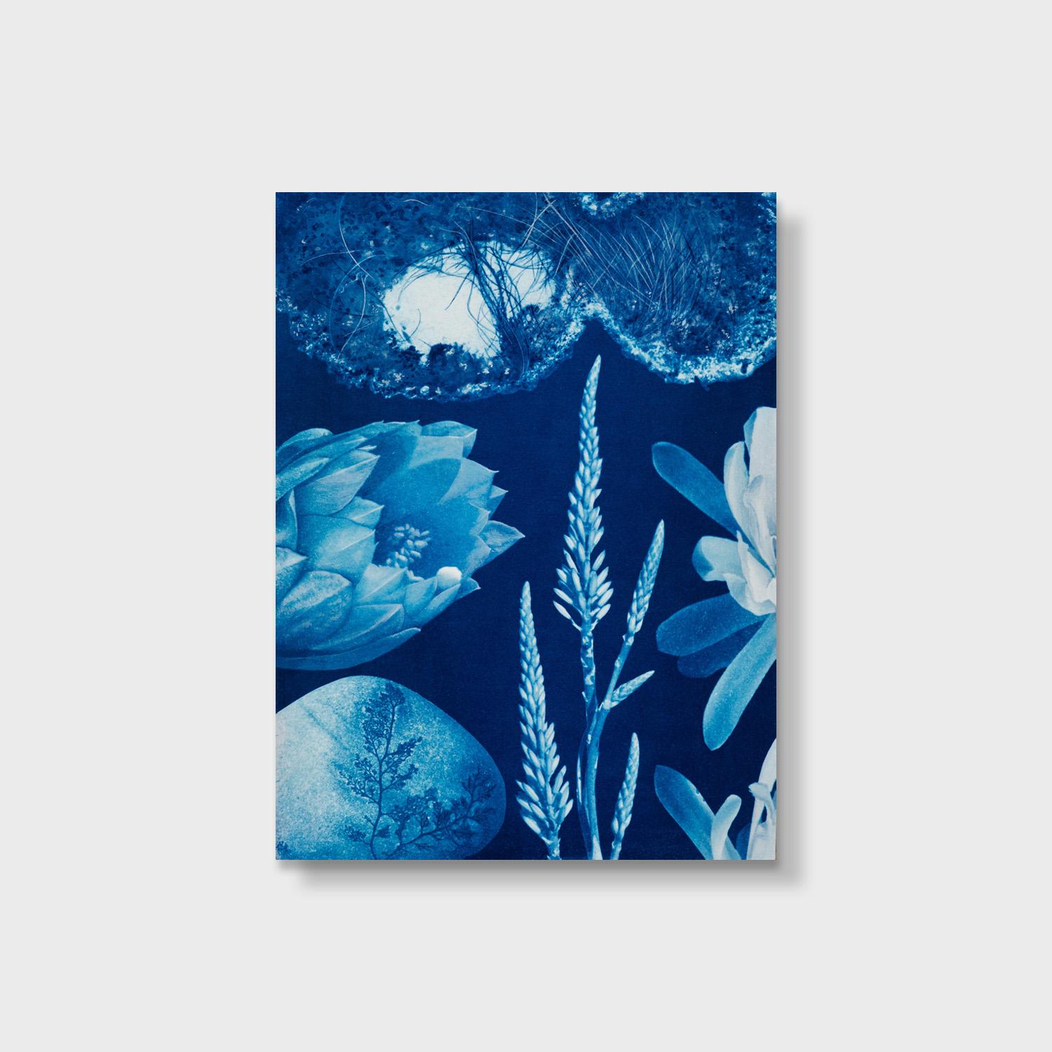 A Surreal Watercolor and Cyanotype, 