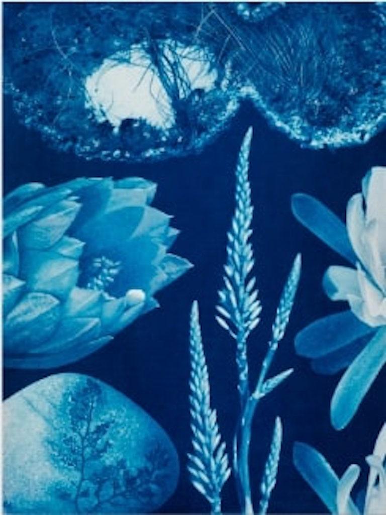 Abstract Photograph Annalise Neil - Aquarelle et cyanotype surréaliste, « Saltwater Gradient, var.4 »
