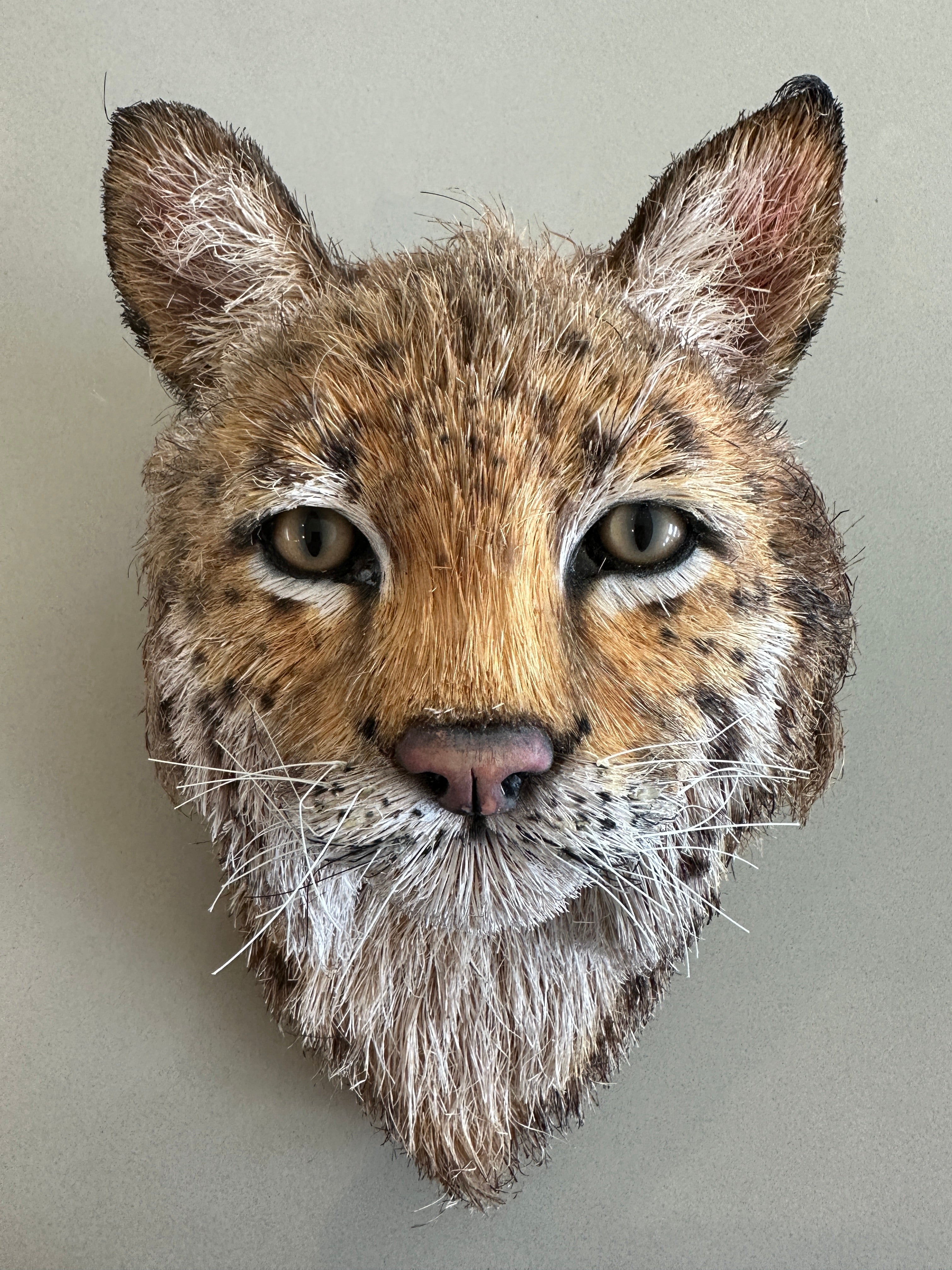 Anne Andersson 2008 Sisal Fiberglas-Skulptur eines roten Lynxkopfes im Angebot 10