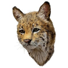 Anne Andersson 2008 Escultura de fibra de sisal de una cabeza de lince rojo