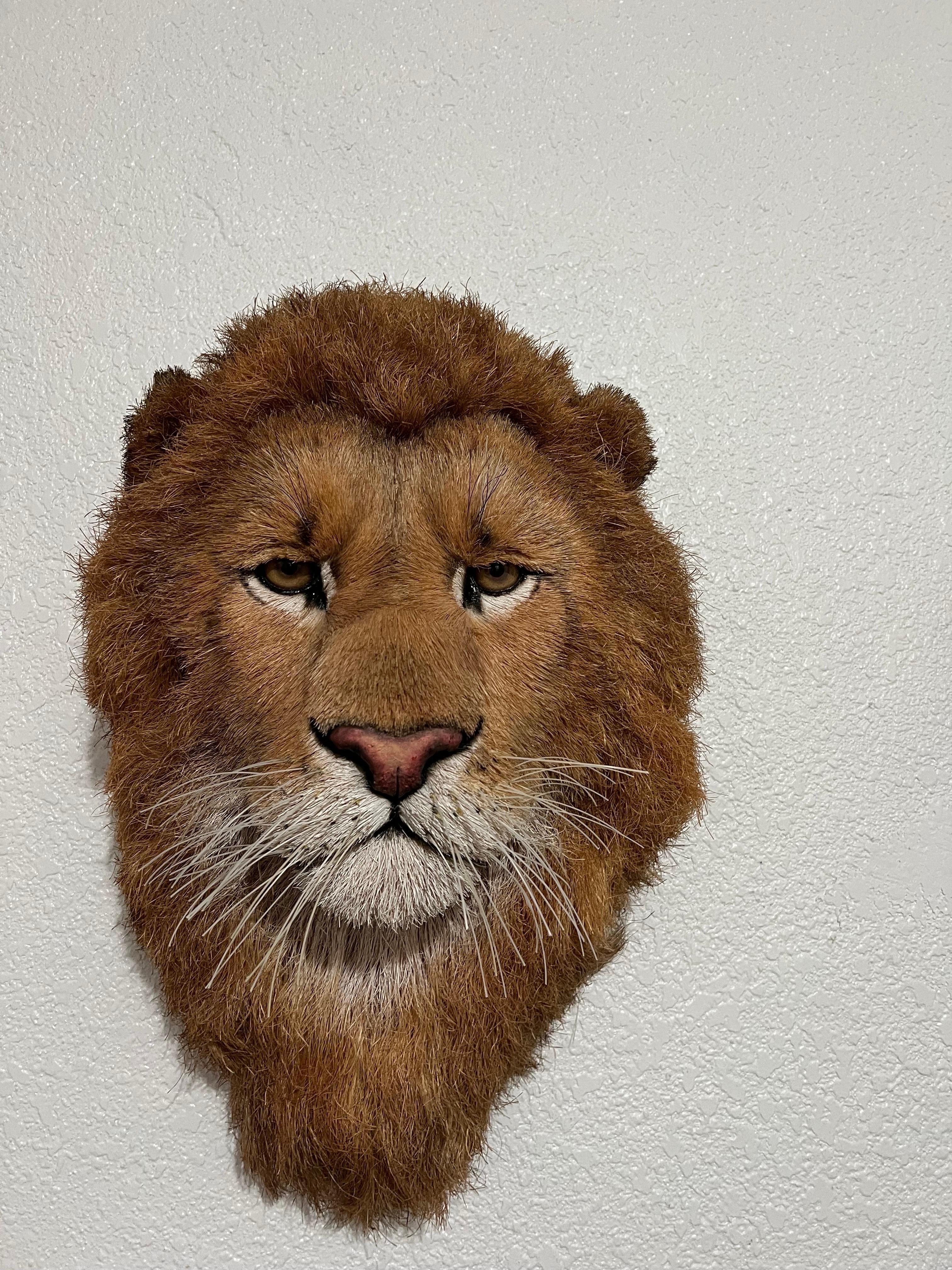 Tête de lion Trophée de grand jeu Sculpture en fibre naturelle de sisal Lion Anne Andersson Art en vente 9