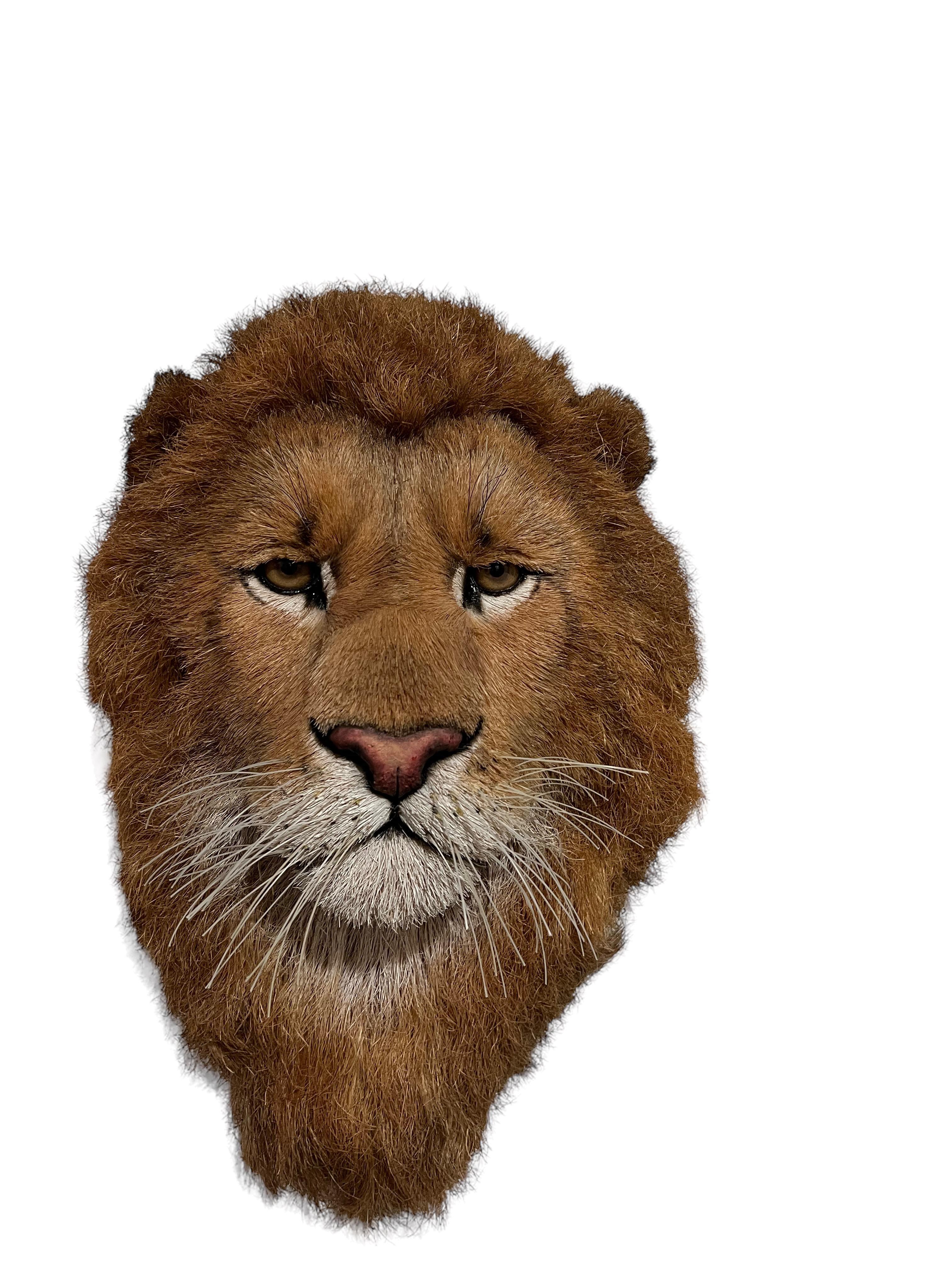 Tête de lion Trophée de grand jeu Sculpture en fibre naturelle de sisal Lion Anne Andersson Art en vente 10