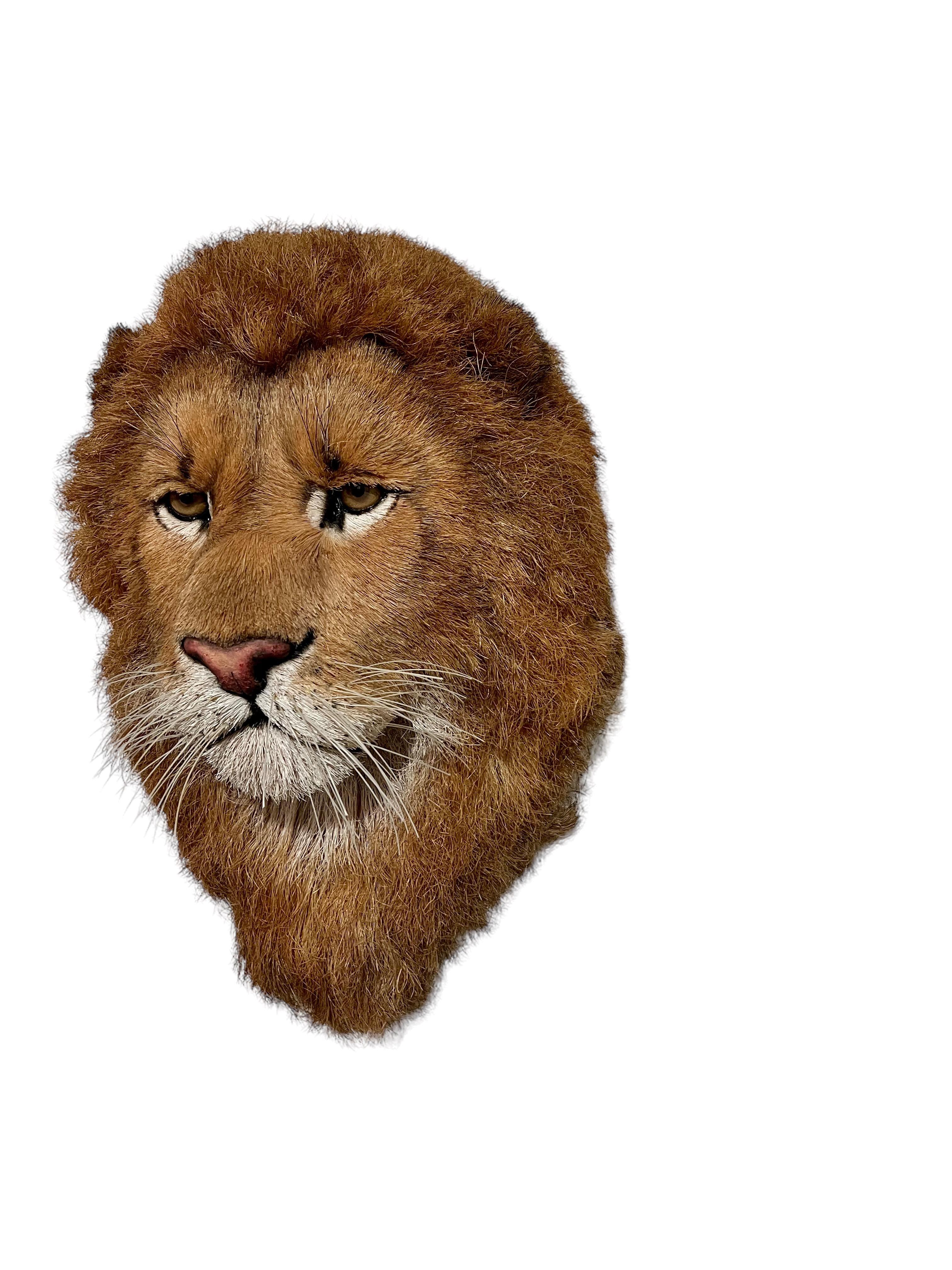 Tête de lion Trophée de grand jeu Sculpture en fibre naturelle de sisal Lion Anne Andersson Art en vente 11