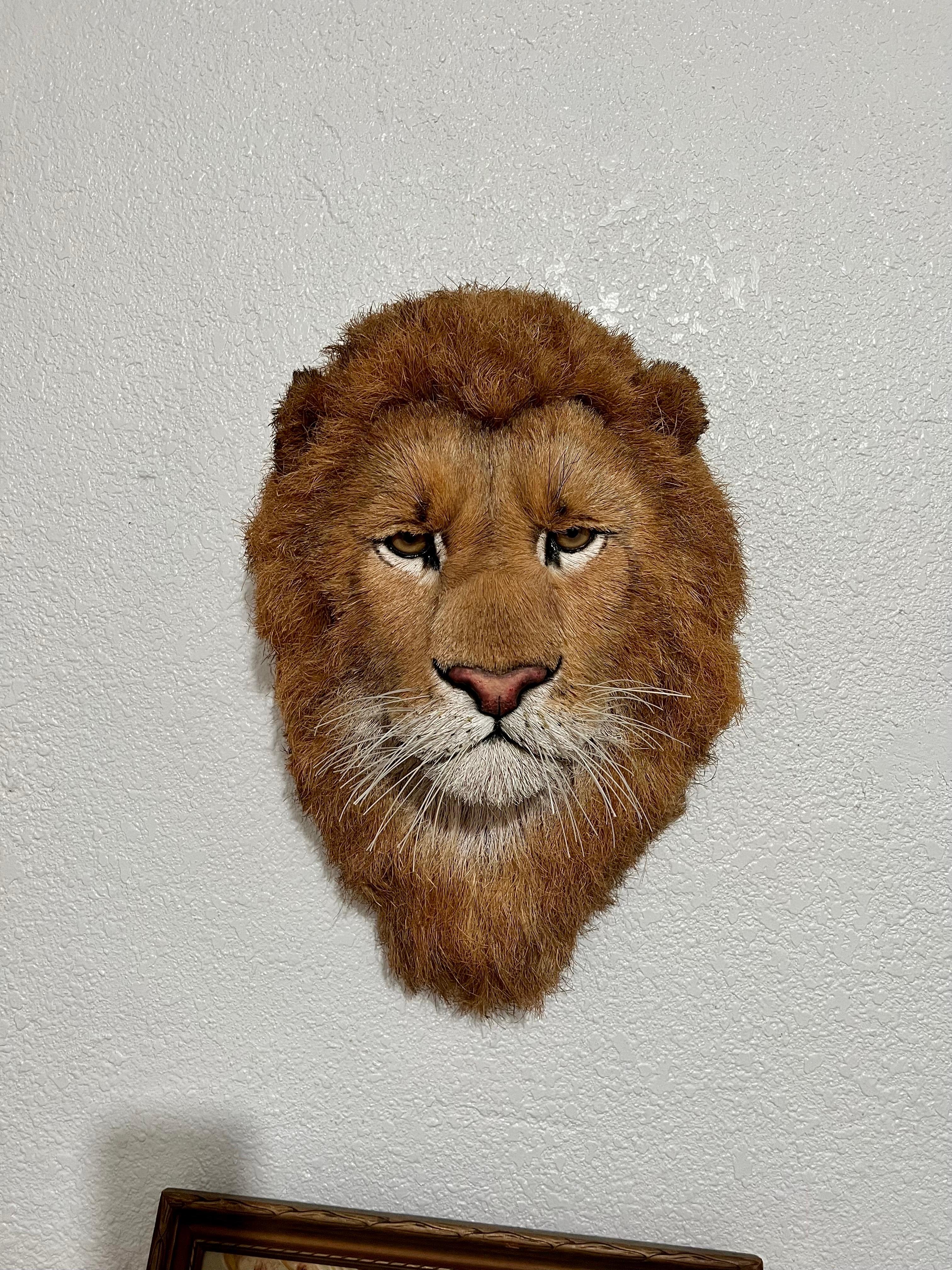 Tête de lion Trophée de grand jeu Sculpture en fibre naturelle de sisal Lion Anne Andersson Art en vente 1