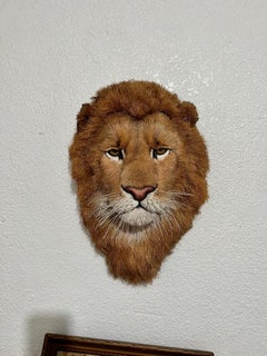 Lions Head Big Game Trophy Natural Sisal Fiber Sculpture Lion Anne Andersson Art