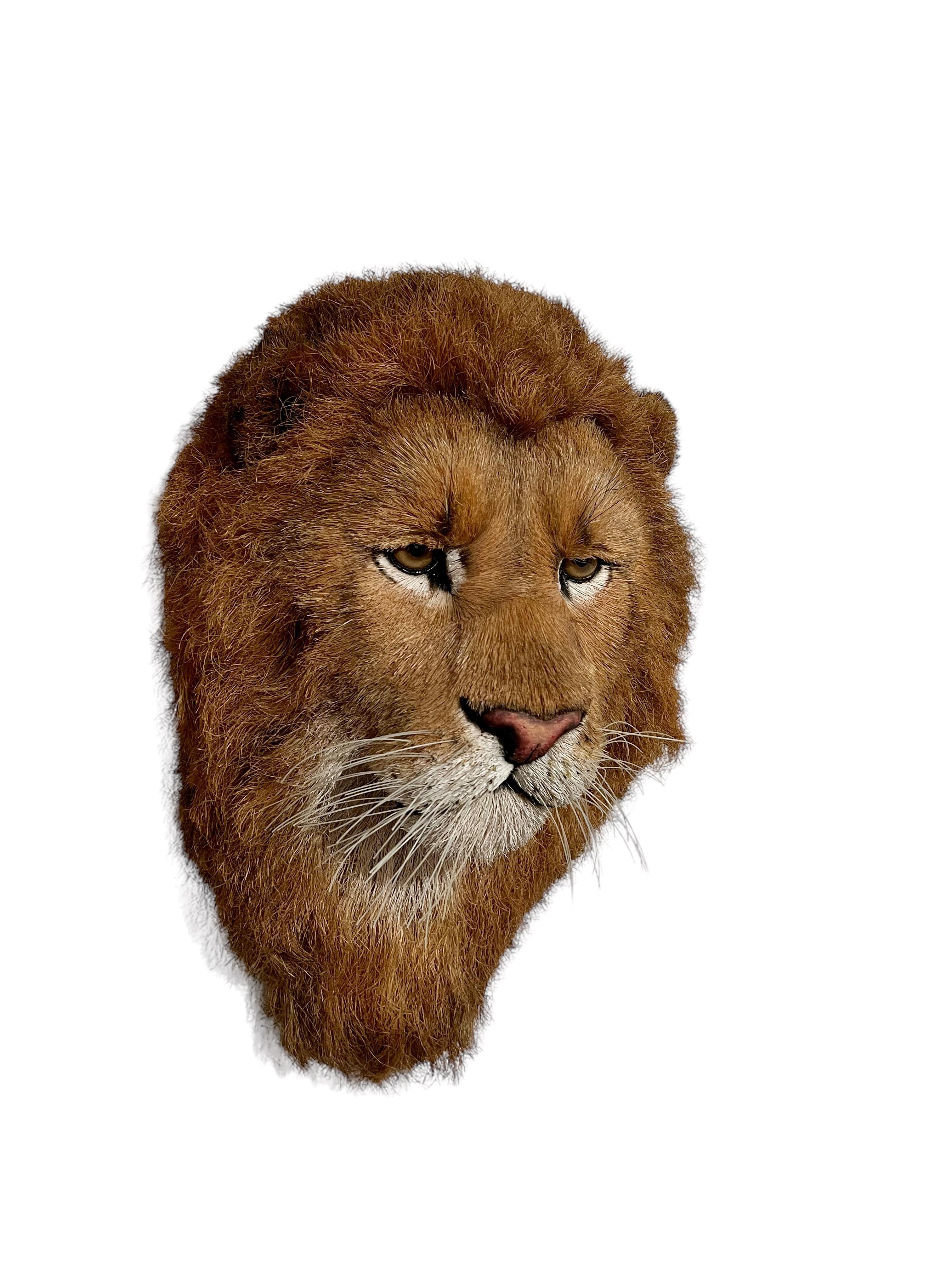 Tête de lion Trophée de grand jeu Sculpture en fibre naturelle de sisal Lion Anne Andersson Art en vente 2