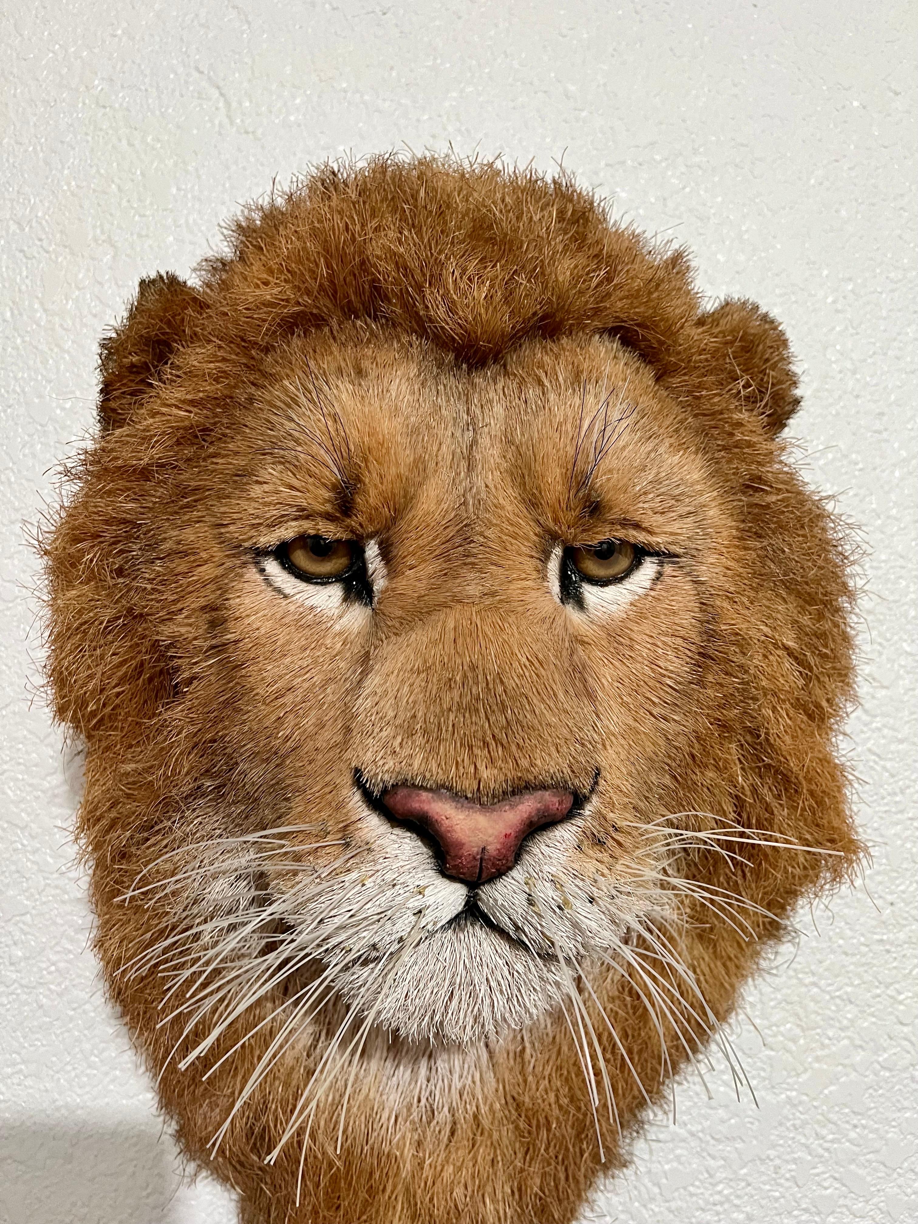 Tête de lion Trophée de grand jeu Sculpture en fibre naturelle de sisal Lion Anne Andersson Art en vente 8
