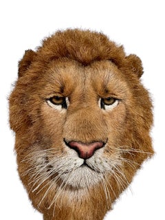 Lions Head Big Game Trophy Natural Sisal Fiber Sculpture Lion Anne Andersson Art