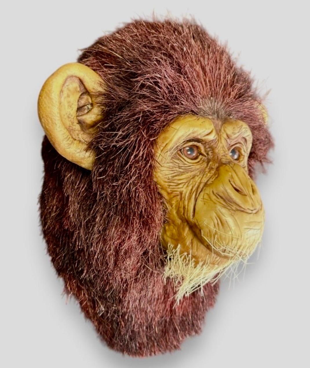 Affenkopf Natürliche Sisalfaser-Ton-Skulptur Chimpanzee Anne Andersson Kunst im Angebot 1