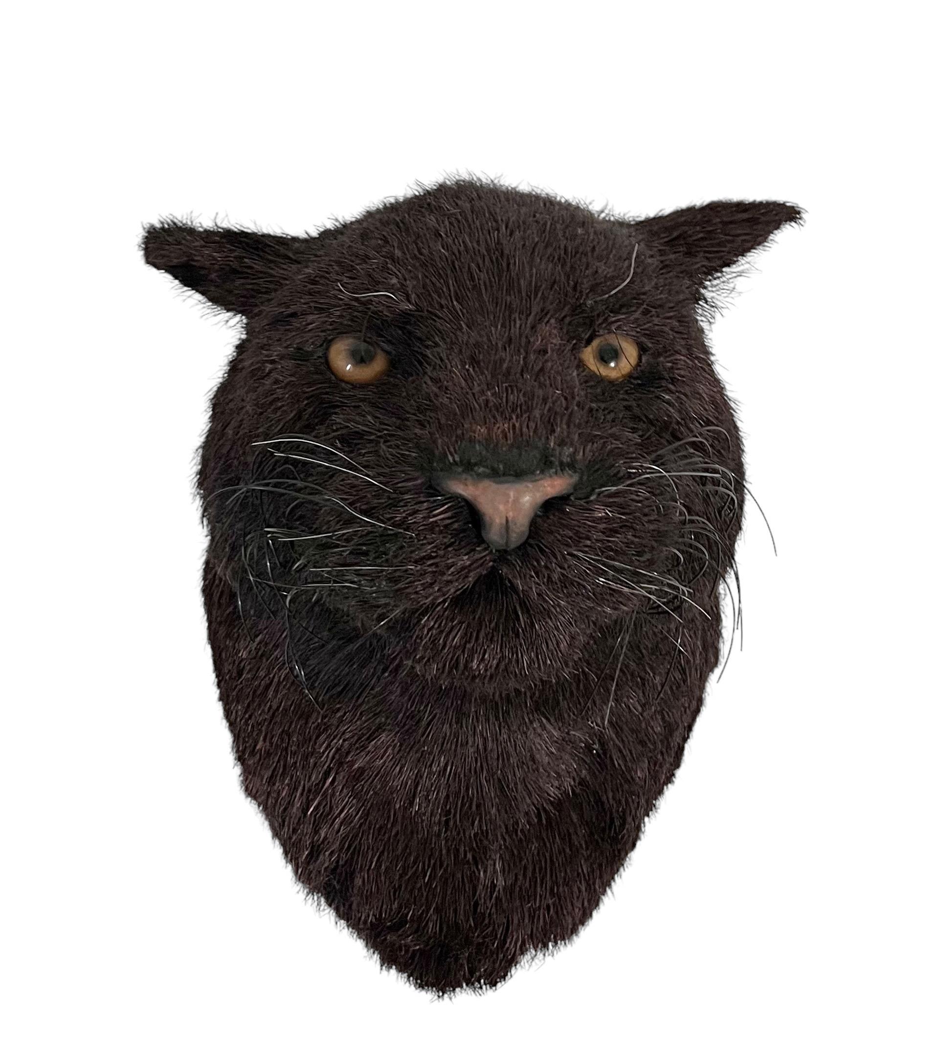 Panther Big Game Trophy Natural Sisal Fiber Sculpture Puma Anne Andersson Art For Sale 7