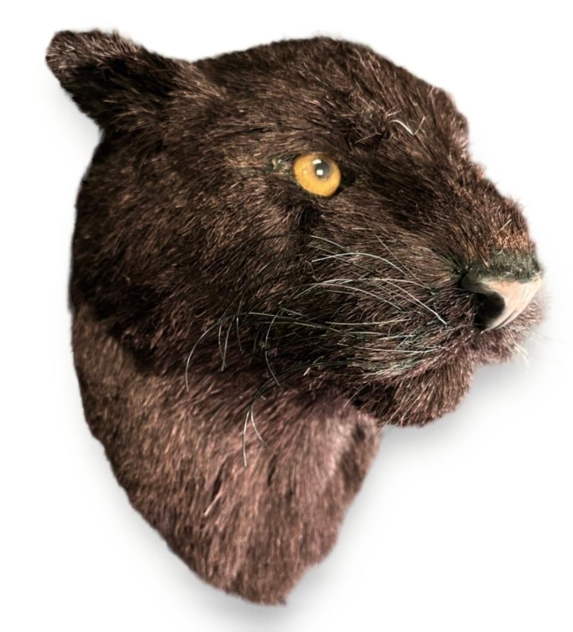 Anne Andersson
Sisal fiber wall sculpture 
Black Panther Head (# 1)
Hand signed to verso 
Dated 2008. 
Measures approx. 12 1/4