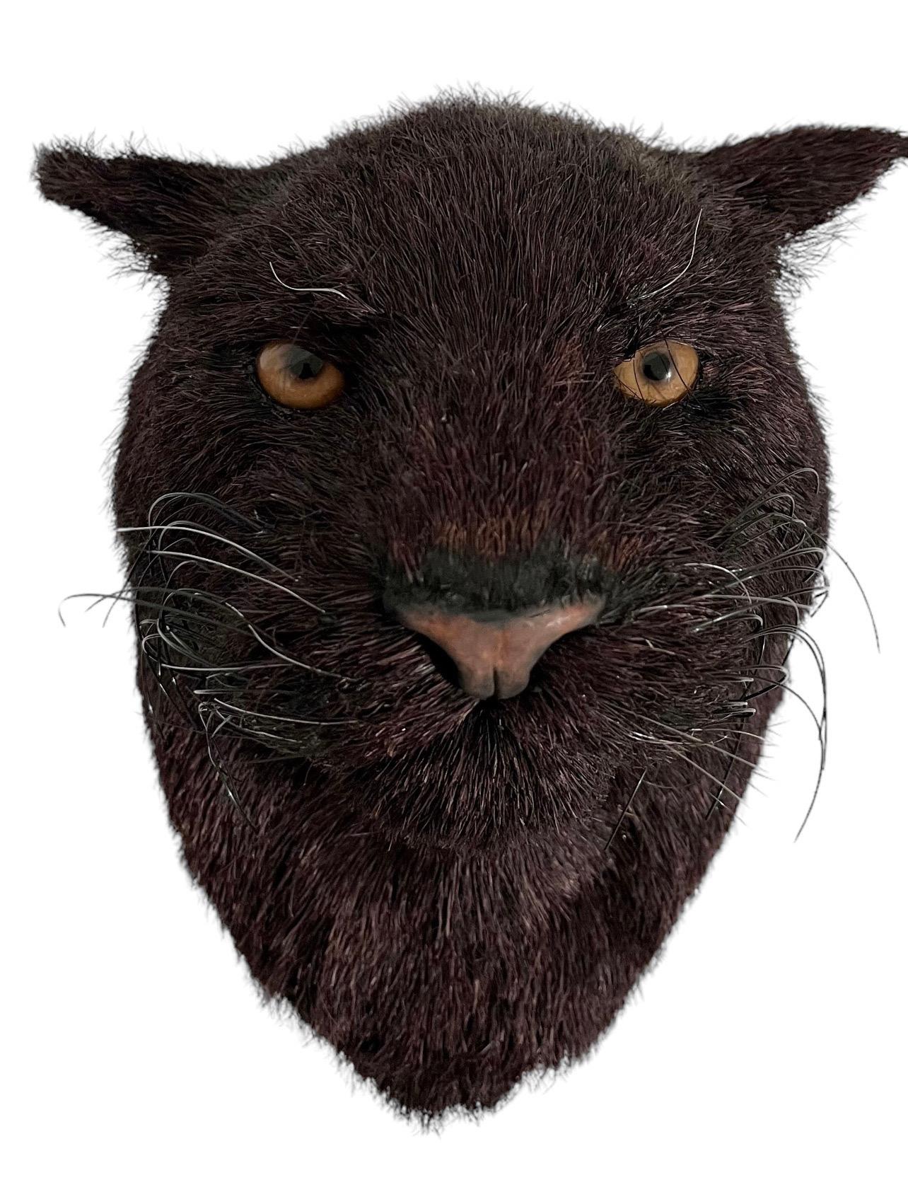 Panther Big Game Trophy Natürliche Sisal Fiber-Skulptur Puma Anne Andersson Kunst