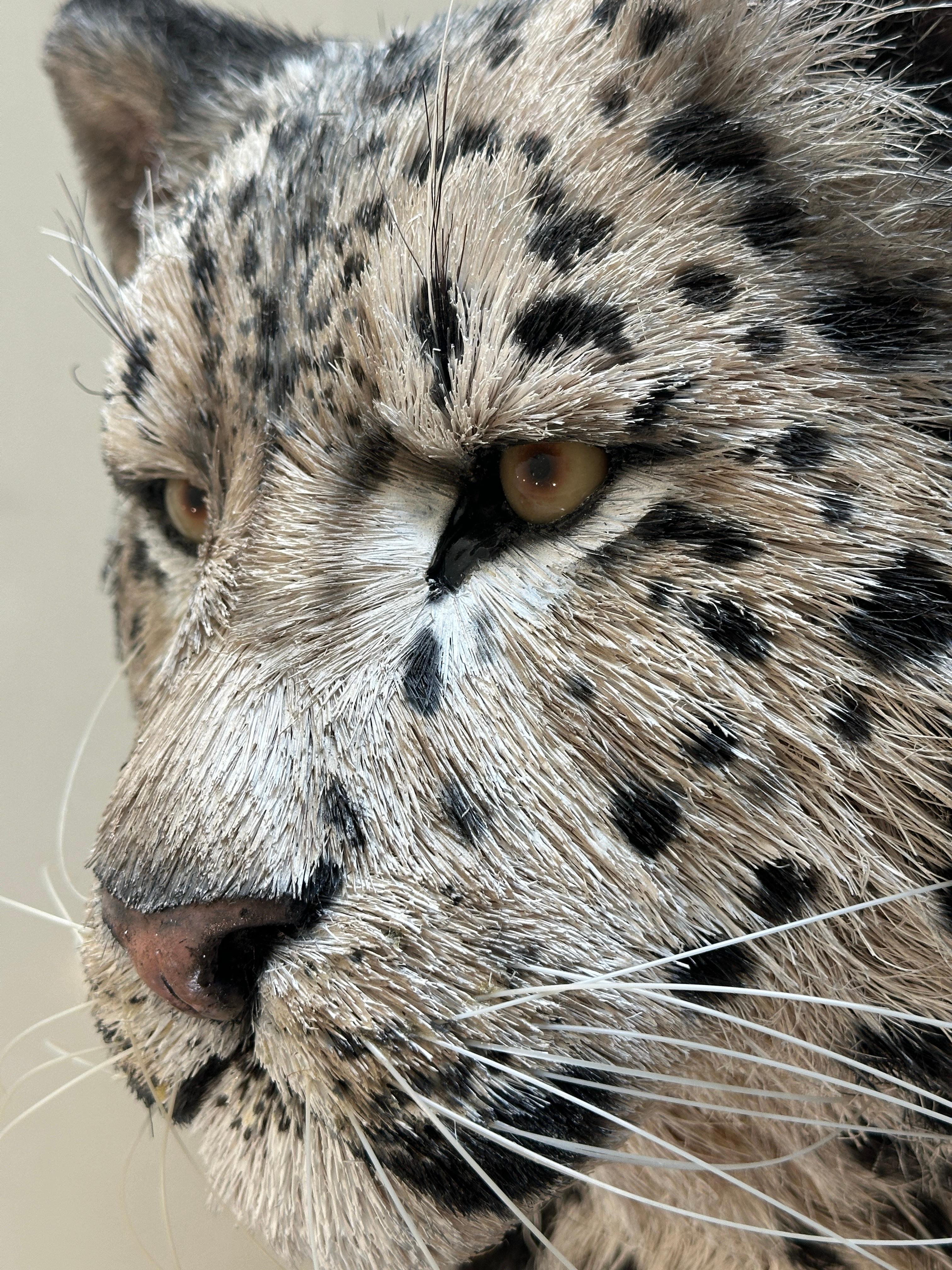 Anne Andersson Sisal Fiber Snow Leopard 2006 For Sale 8