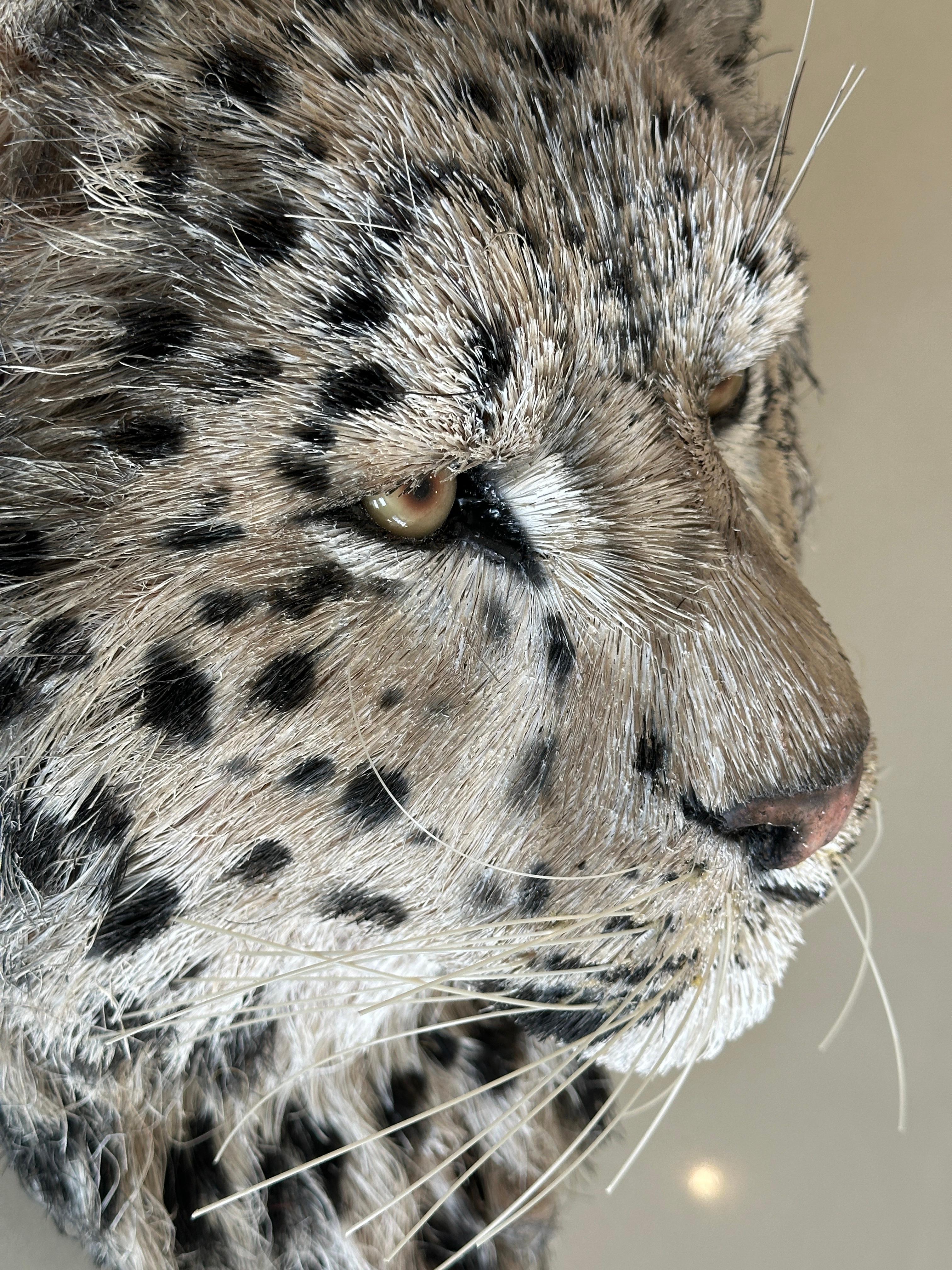 Anne Andersson Sisal Fiber Snow Leopard 2006 For Sale 10