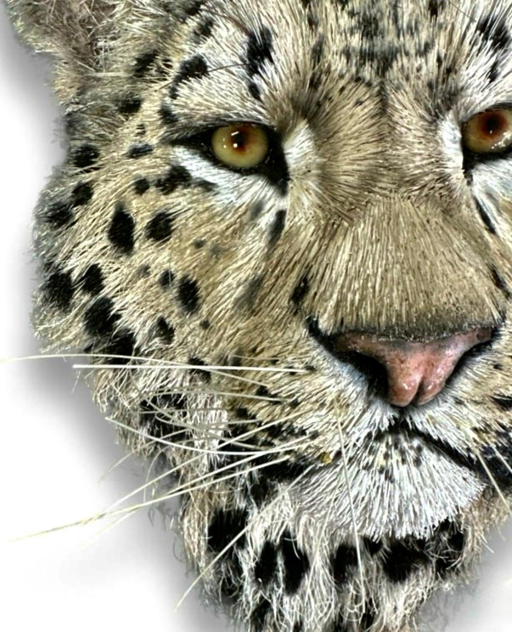 Anne Andersson Sisal Fiber Snow Leopard 2006 For Sale 13